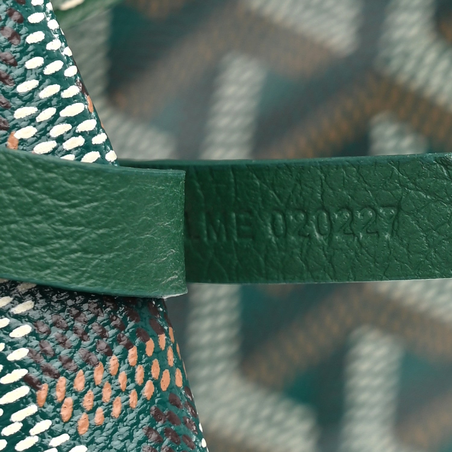 Goyard Goyardine Saint Louis PM Green 8 of 12