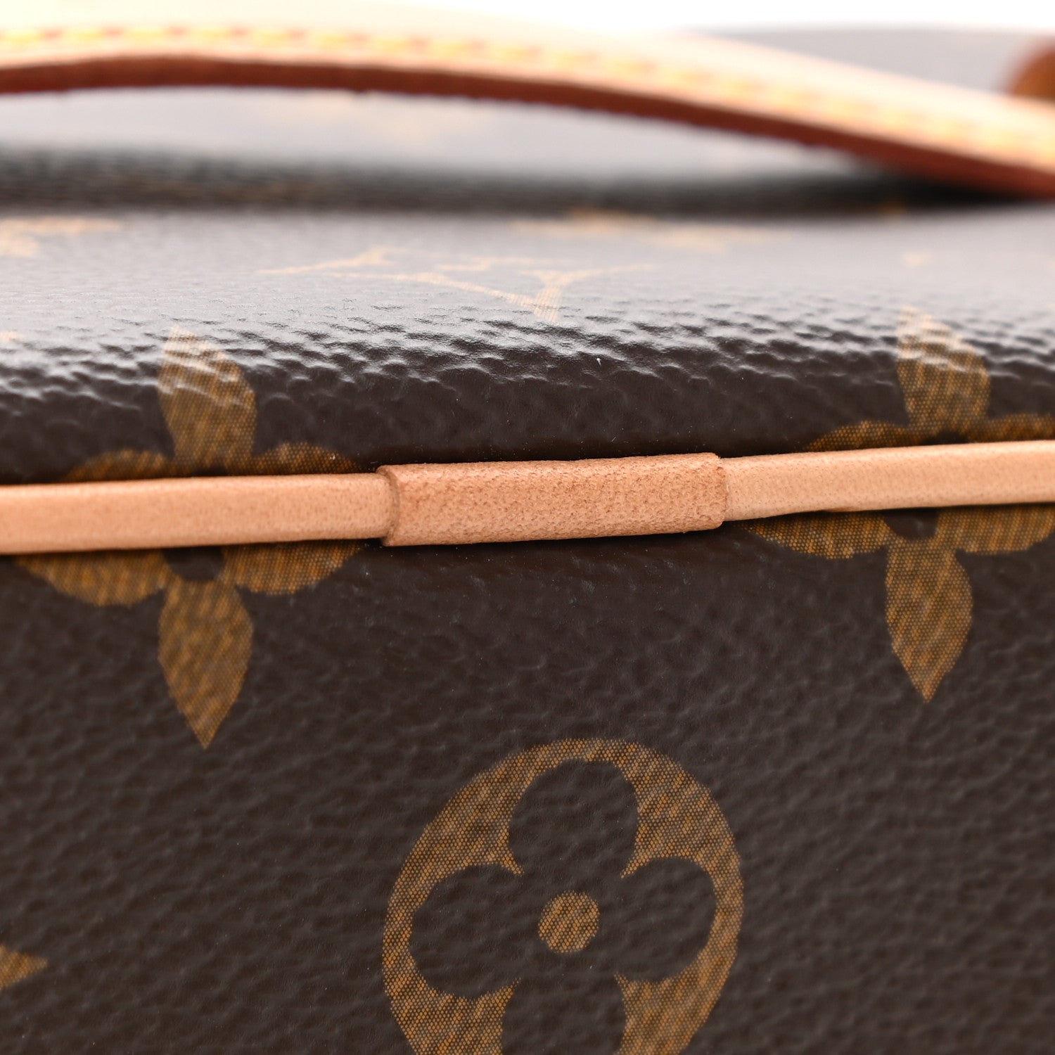 Louis Vuitton Monogram Nice Mini 9 of 10