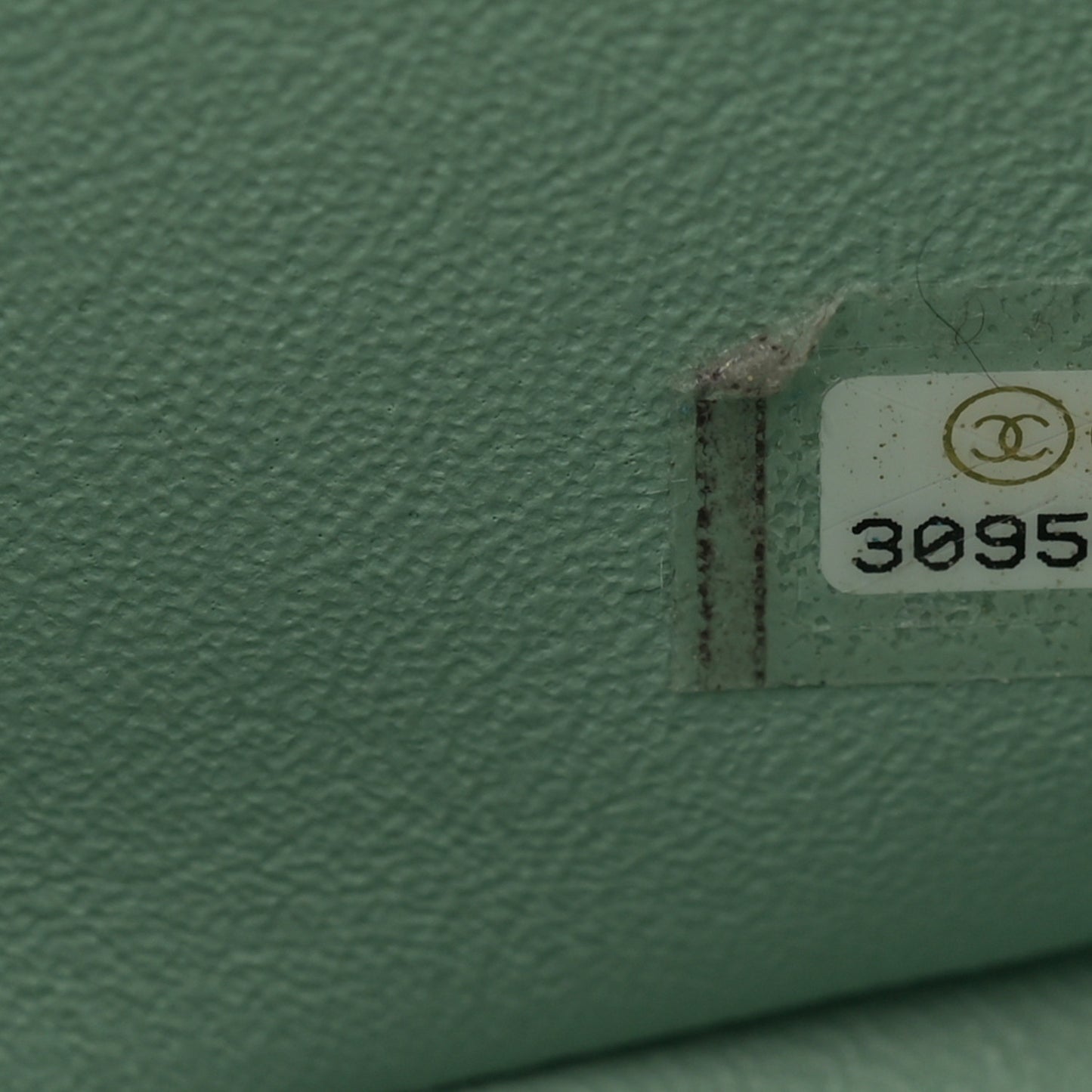 Lambskin Quilted Mini Rectangular Flap Light Green