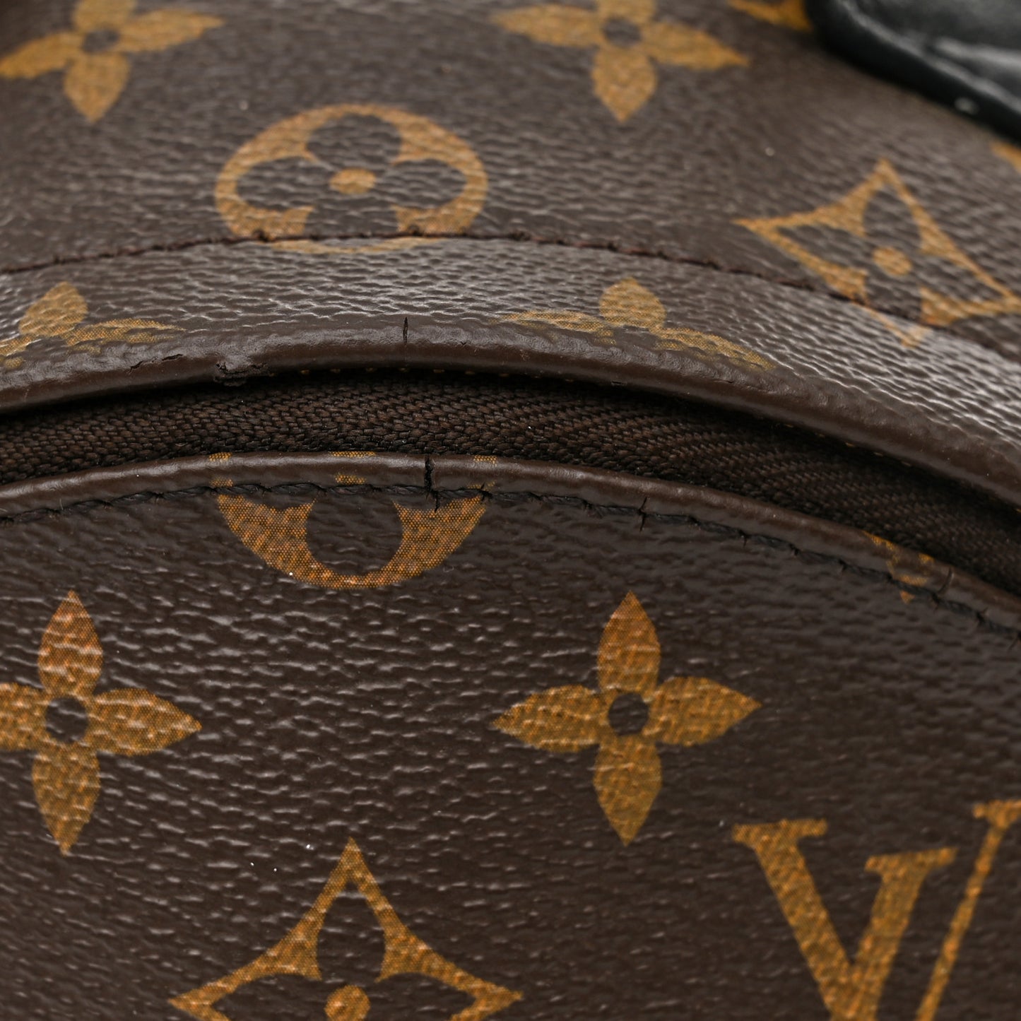 Monogram Palm Springs Backpack PM