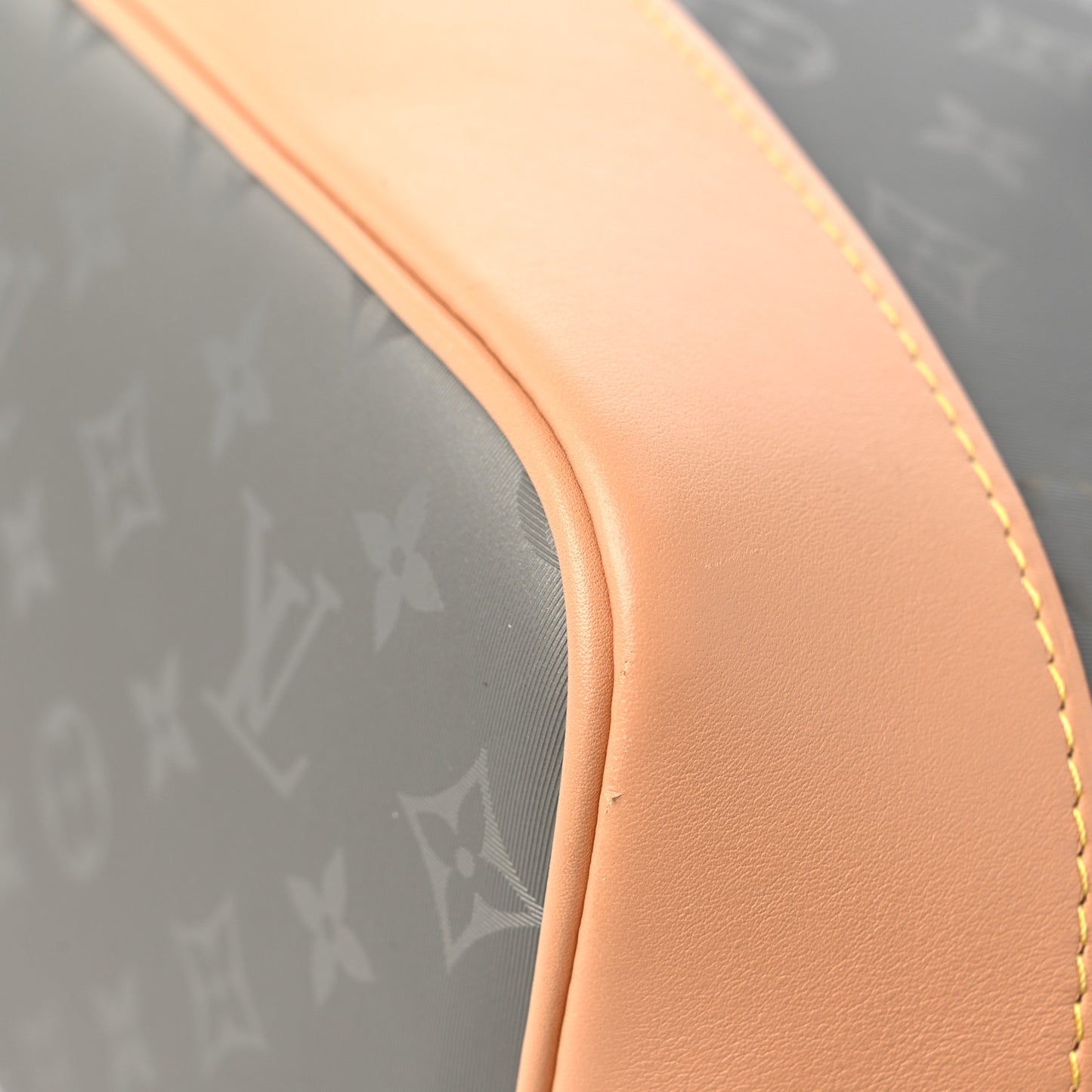 Monogram Titanium Backpack Tote