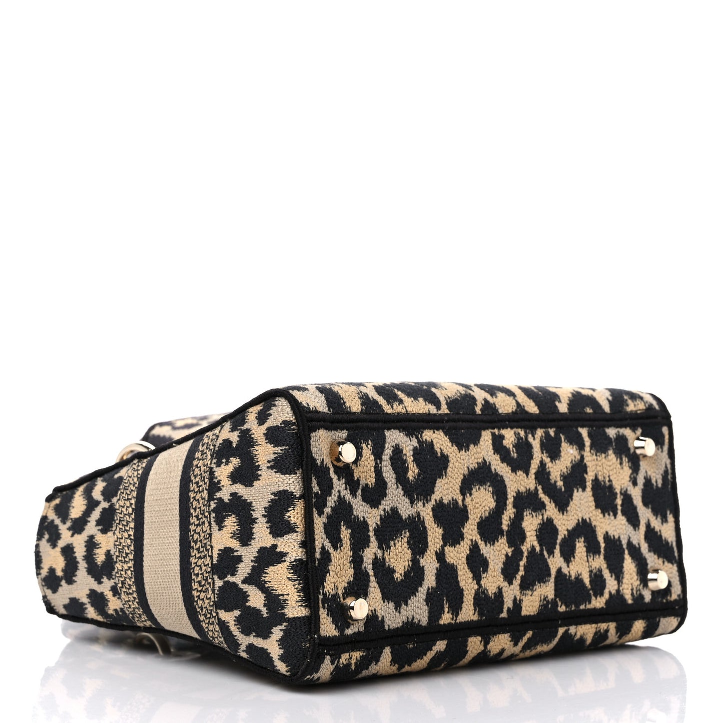 Canvas Medium Mizza Embroidered Lady D-Lite Beige Multicolor