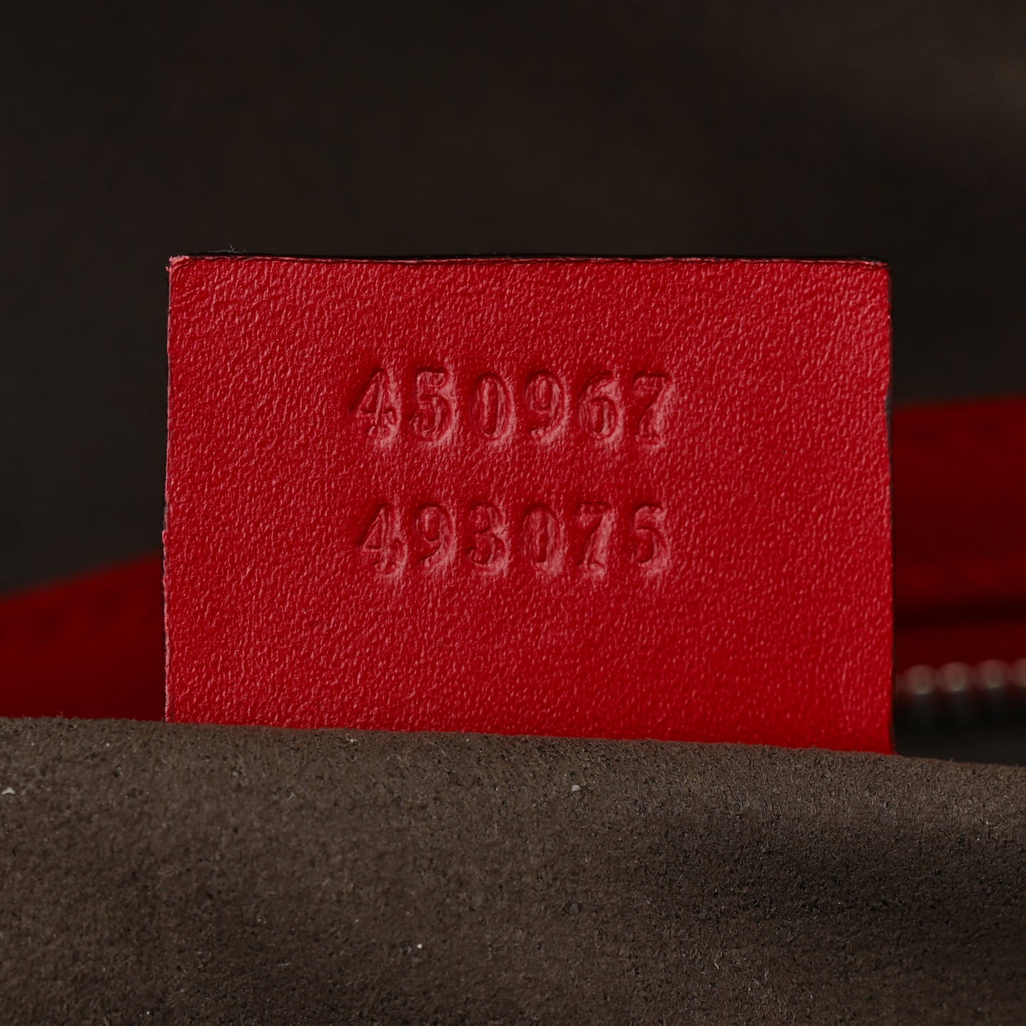 Guccissima Signature Small Day Backpack Hibiscus Red