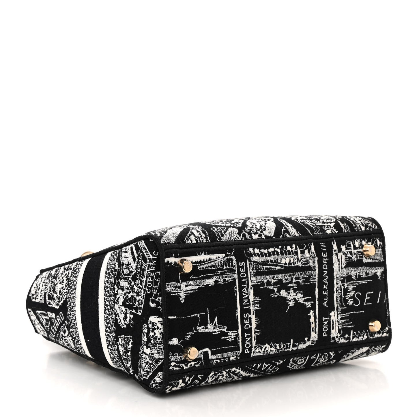 Canvas Embroidered Medium Plan de Paris Lady D-Lite Black White