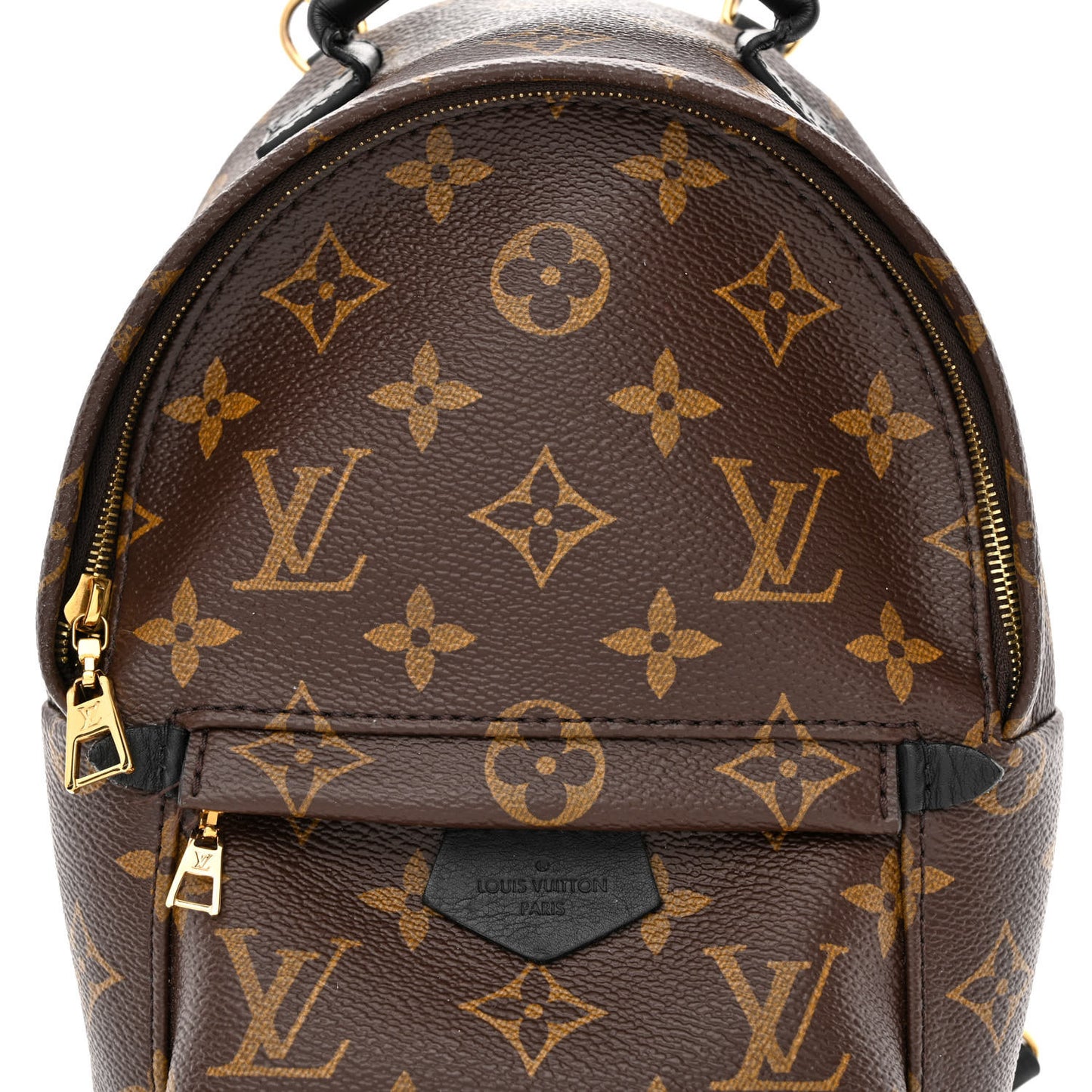 Monogram Palm Springs Backpack Mini