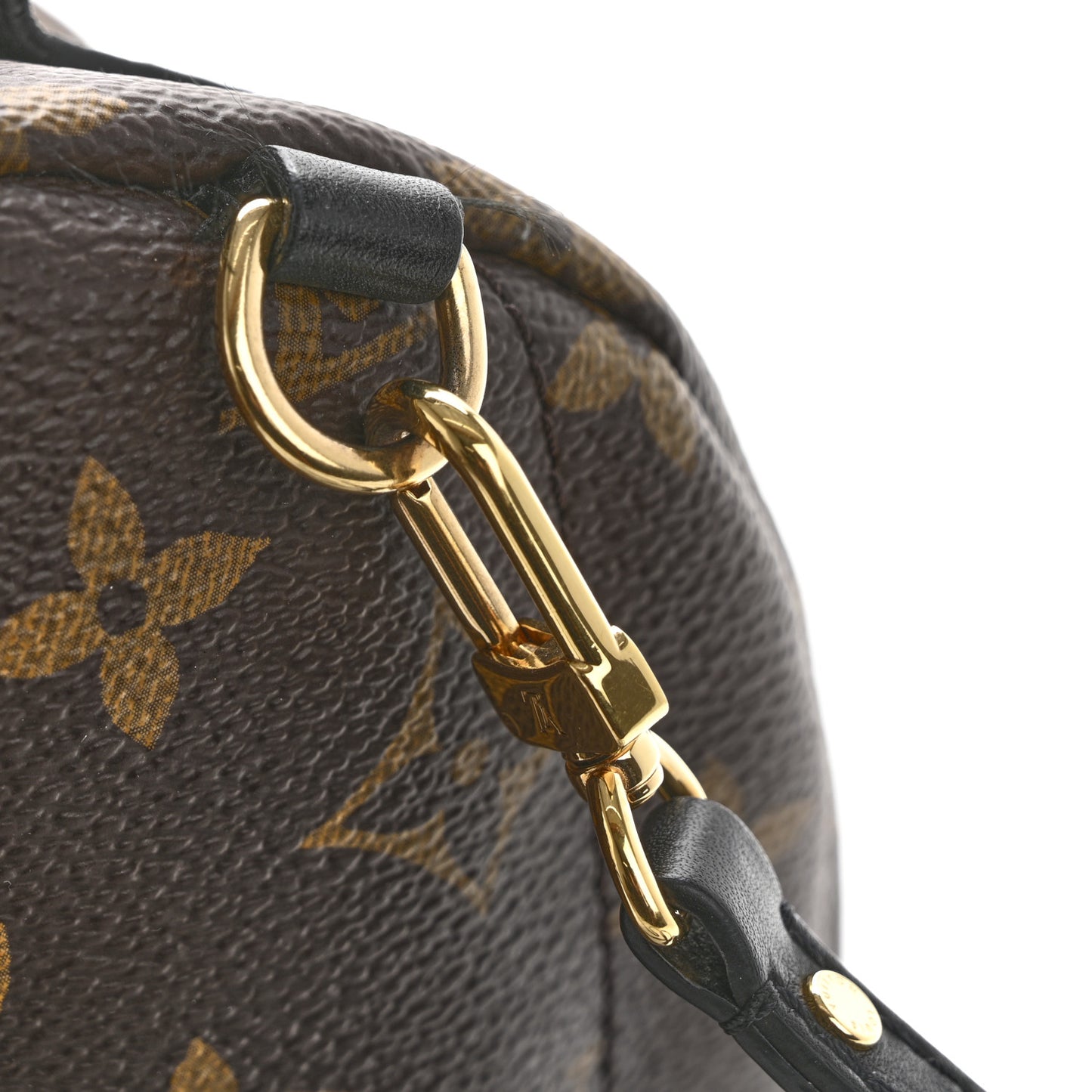 Monogram Palm Springs Backpack Mini