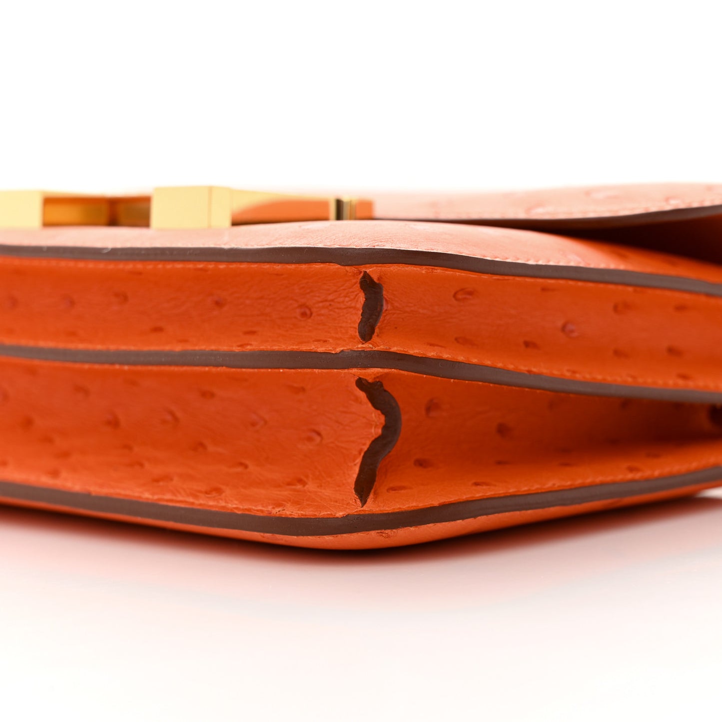 Ostrich Constance 18 Tangerine