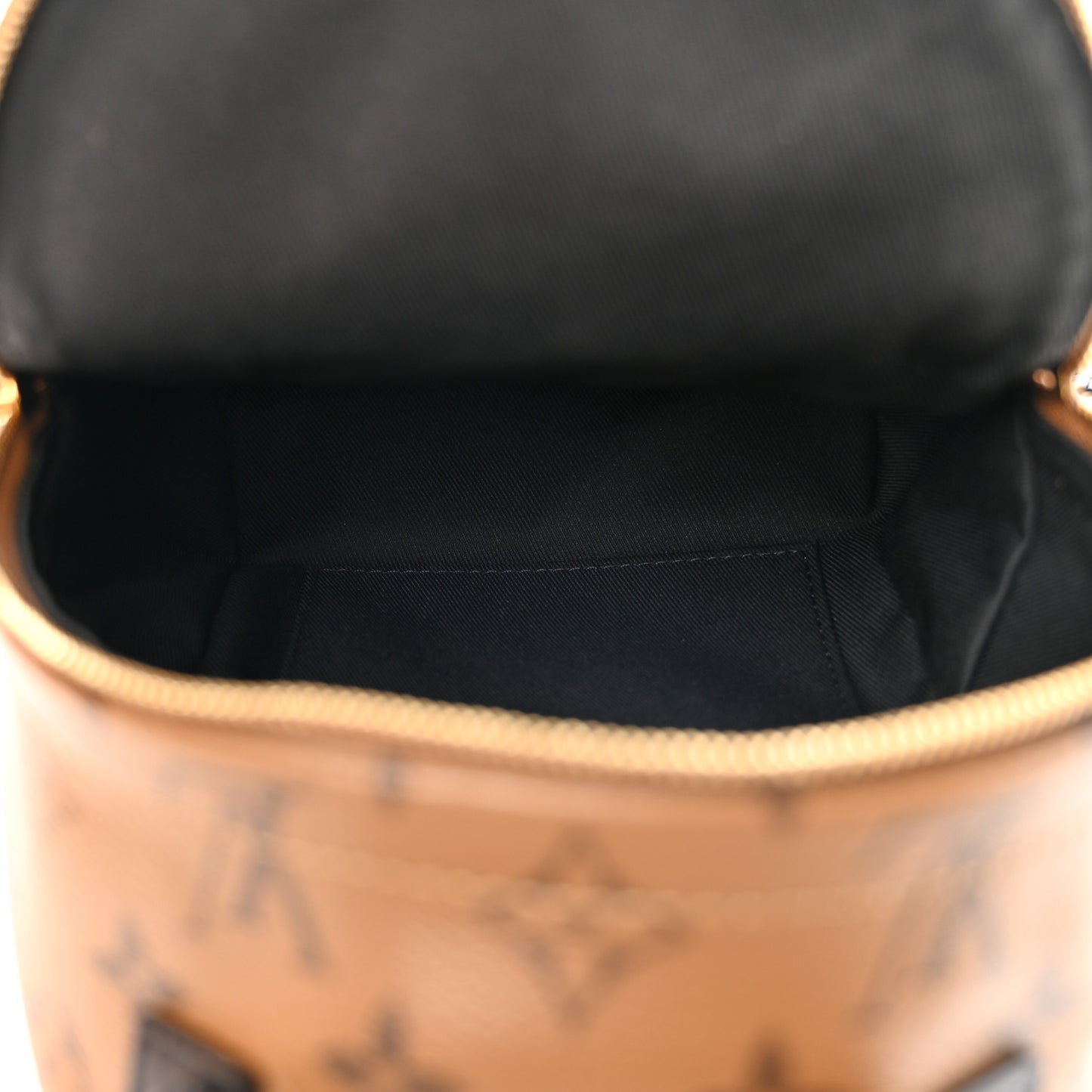 Reverse Monogram Palm Springs Backpack Mini