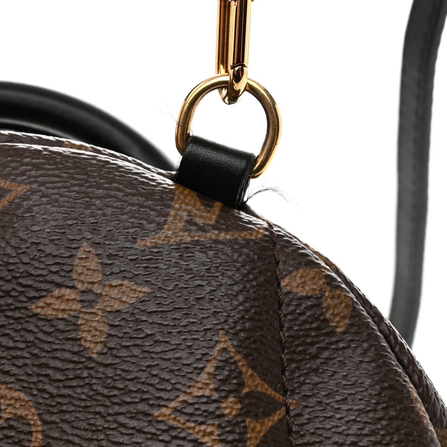 Monogram World Tour Palm Springs Backpack Mini