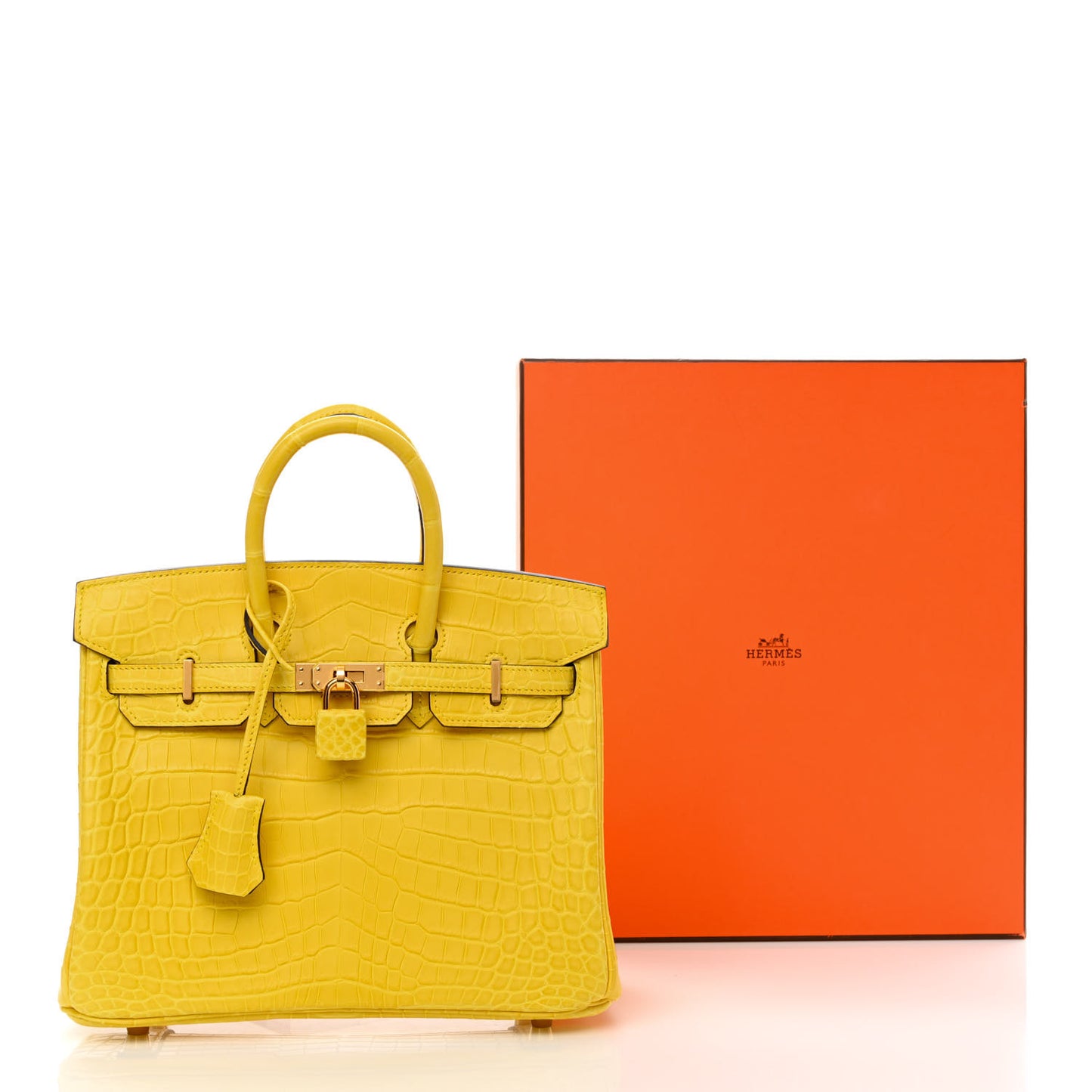 Matte Niloticus Crocodile Birkin 25 Mimosa