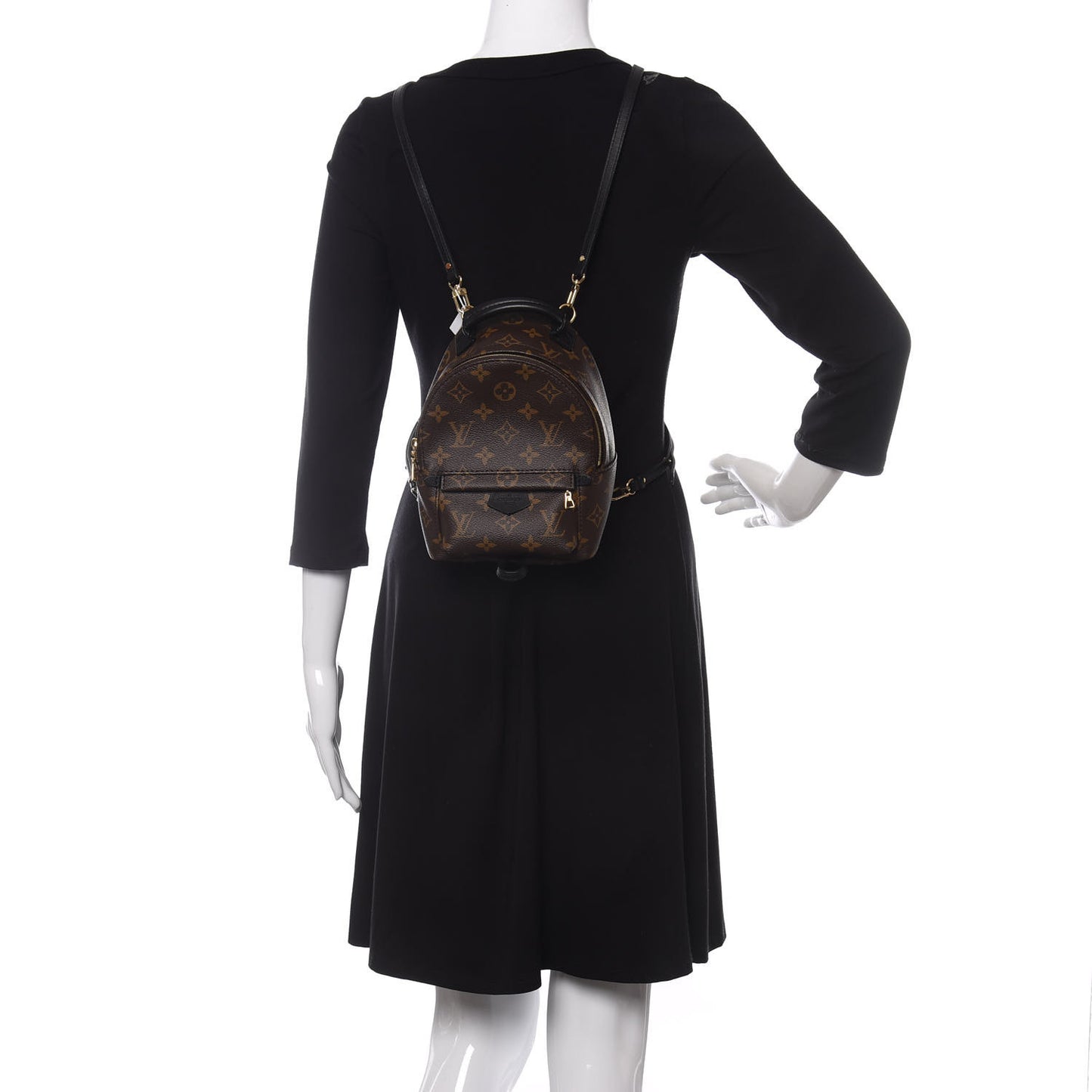 Monogram Palm Springs Backpack Mini