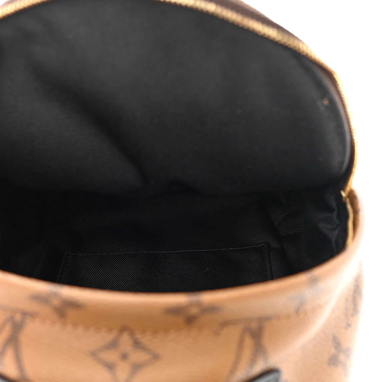 Reverse Monogram Palm Springs Backpack Mini