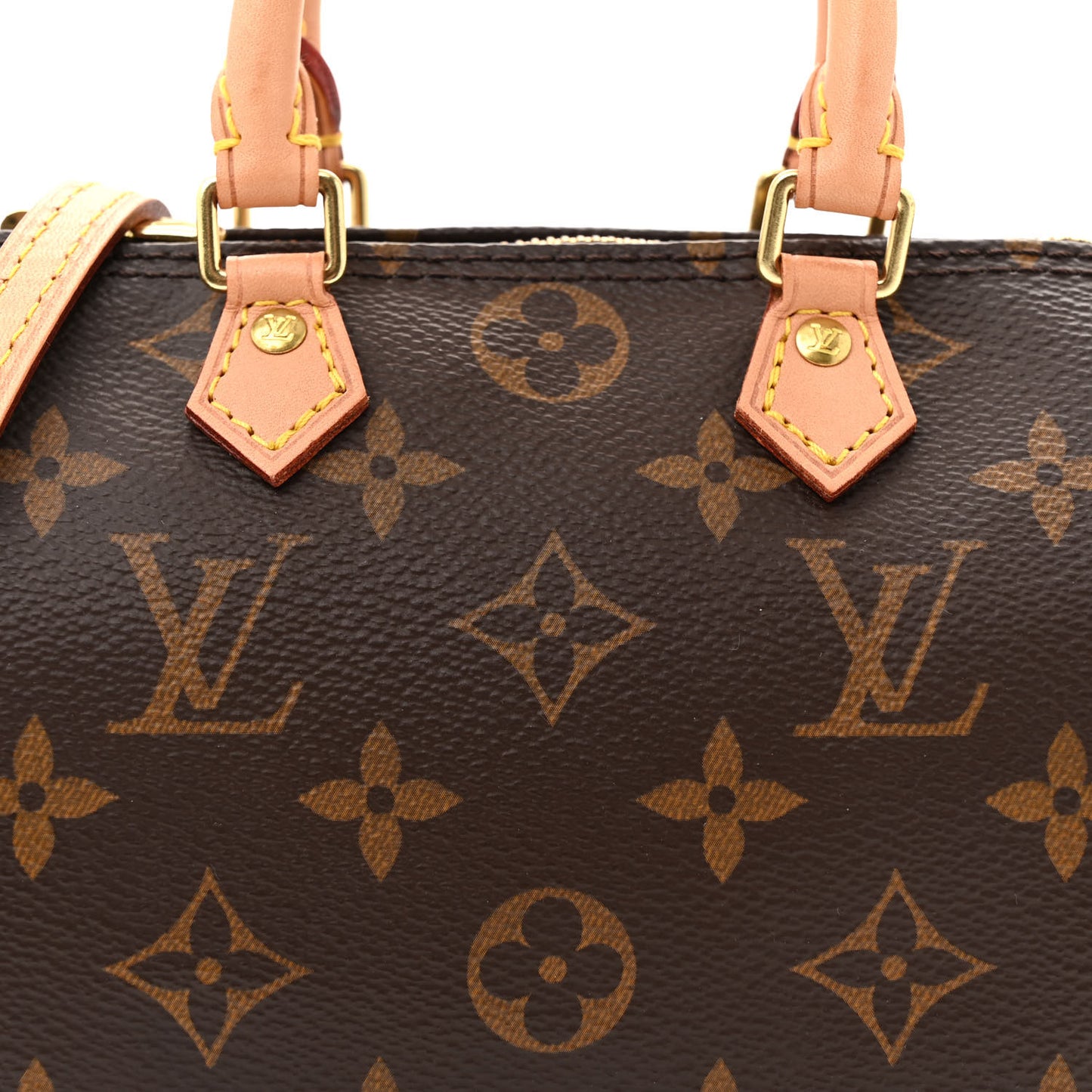 Monogram Nano Speedy