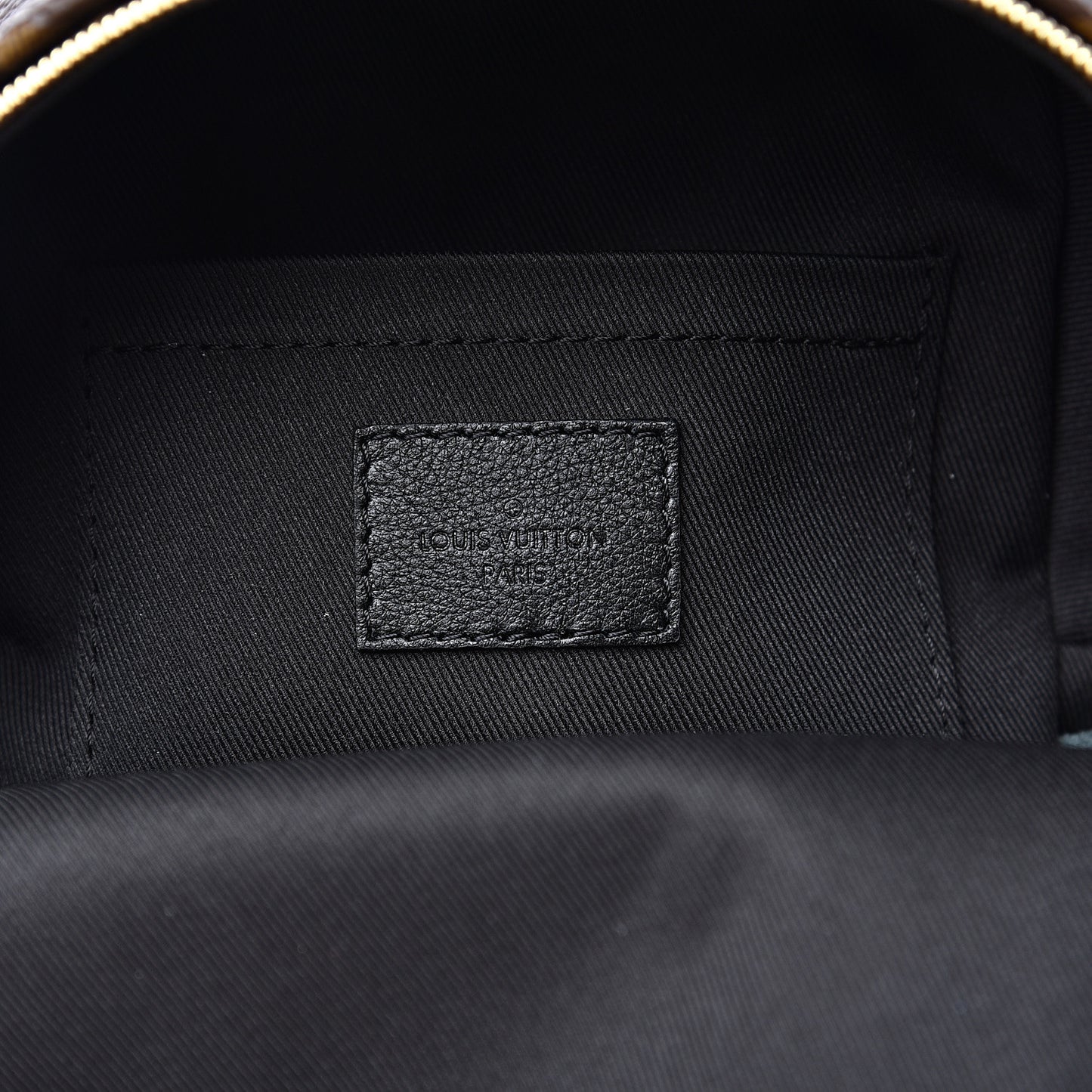Monogram Palm Springs Backpack Mini