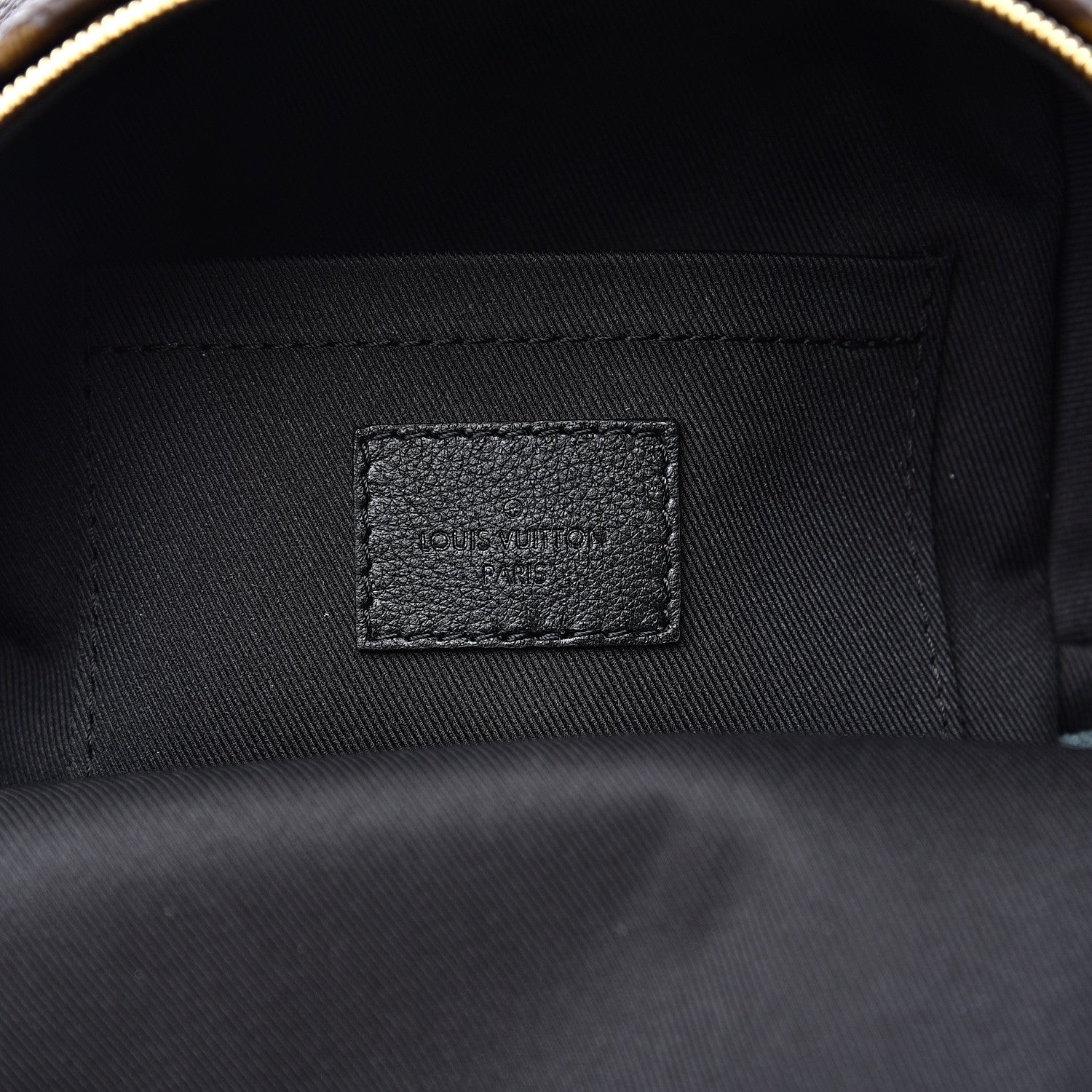 Louis Vuitton Monogram Palm Springs Backpack Mini 5 of 8