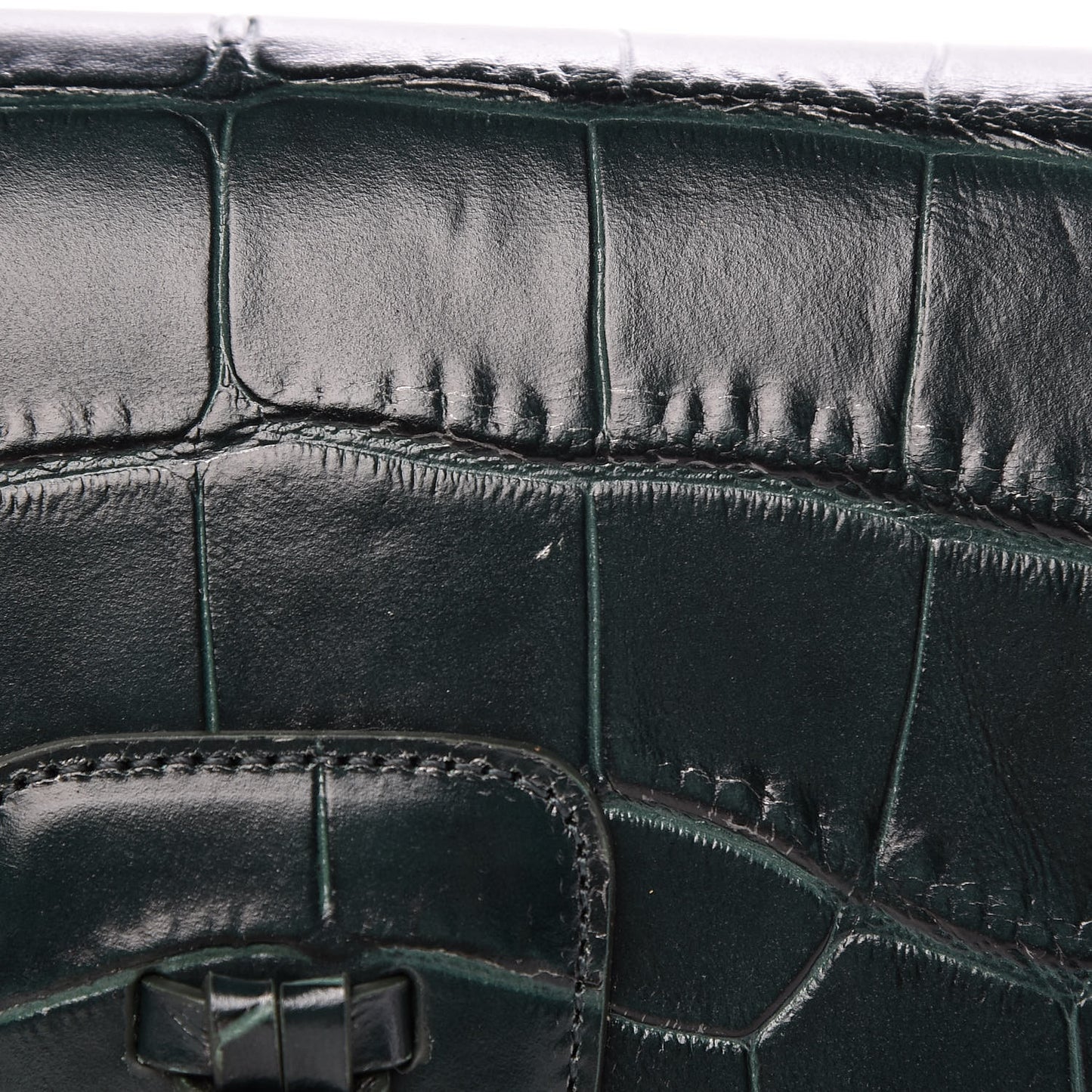 Calfskin Crocodile Embossed Medium Tassel Bag Amazone