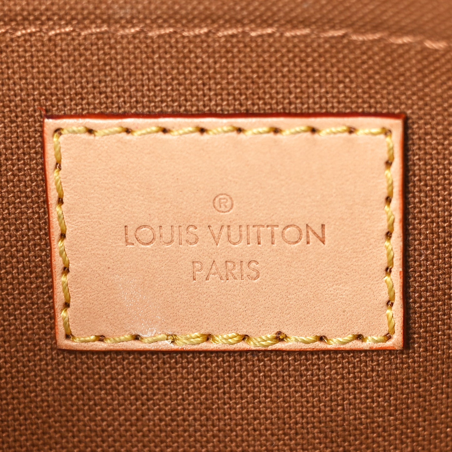 Monogram Multi Pochette Accessories Large Pochette