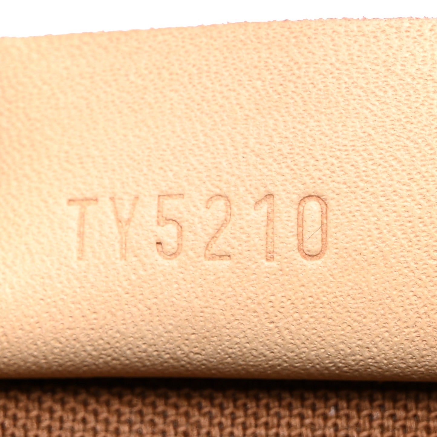 Monogram Nano Speedy