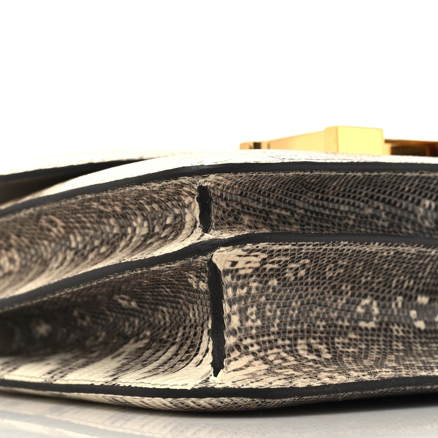 Lizard Constance 18 Ombre