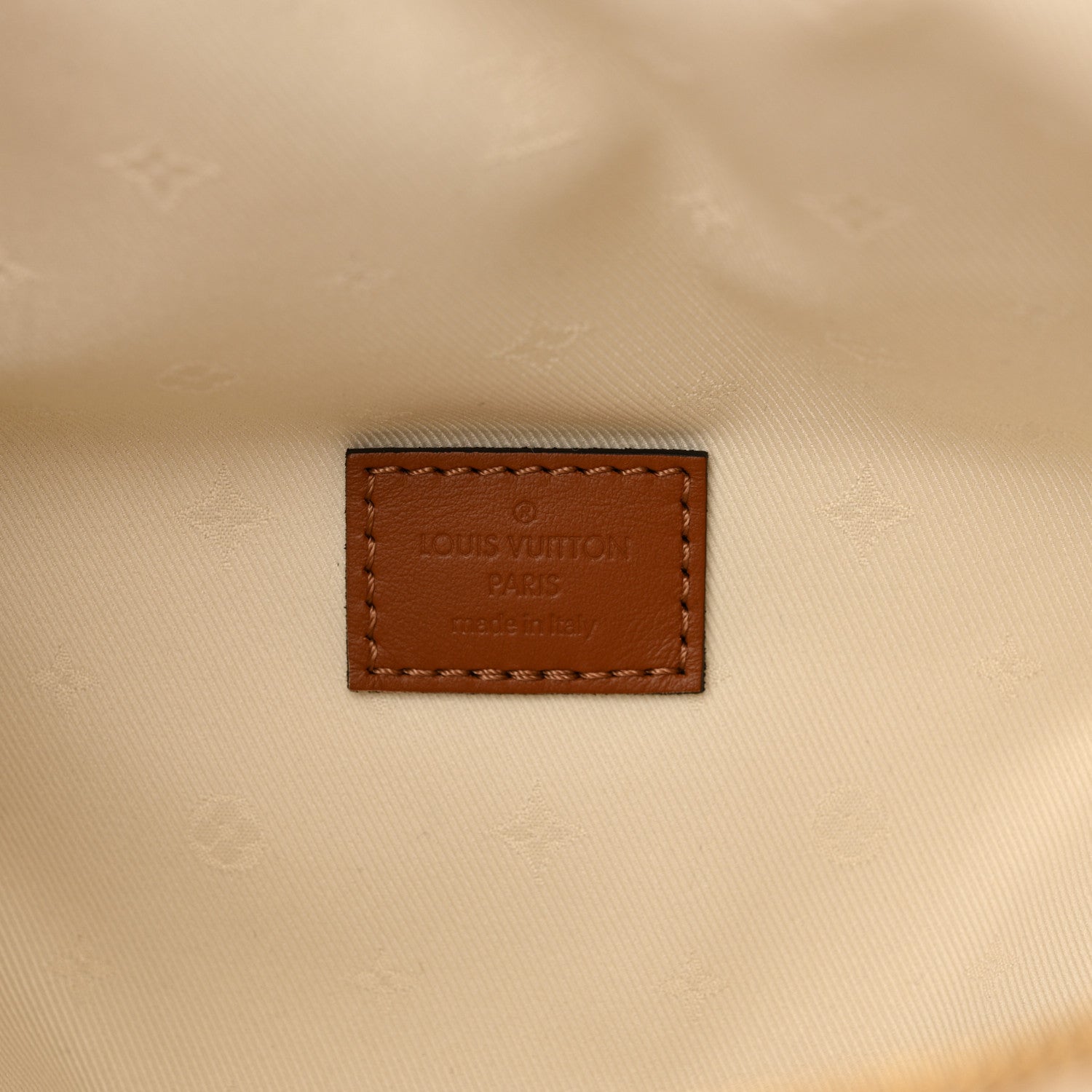 Louis Vuitton Monogram Teddy Bumbag 6 of 10