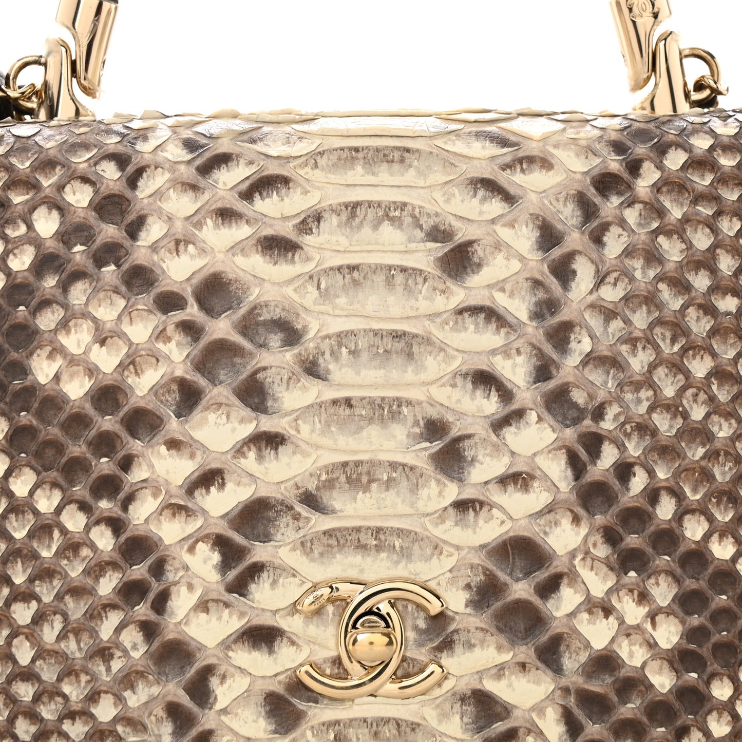 Snakeskin Metal Top Handle Carry Chic Flap