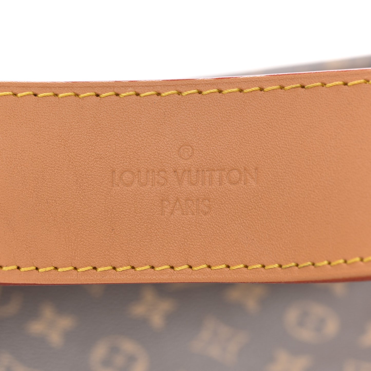 Monogram Carryall MM