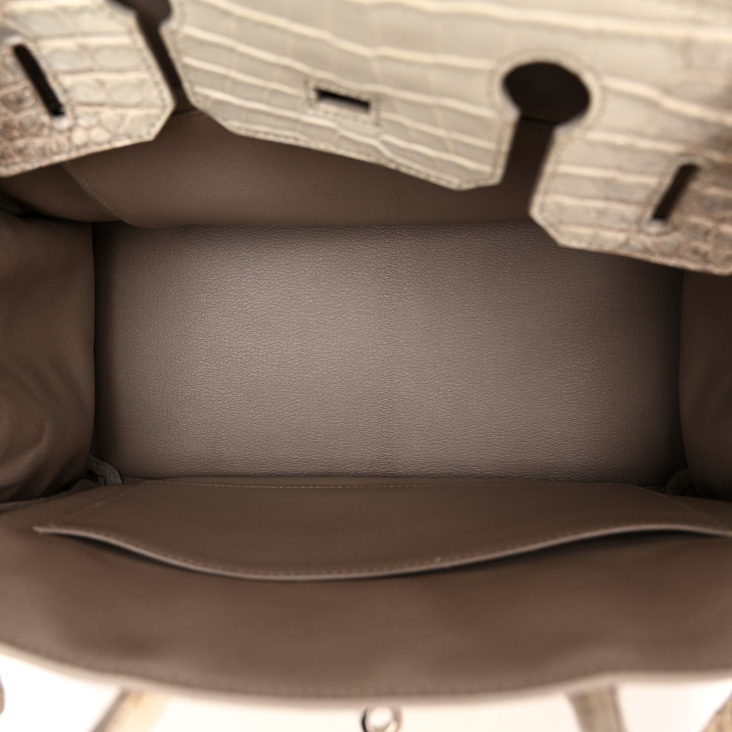 Matte Niloticus Crocodile Himalaya Birkin 30 Blanc