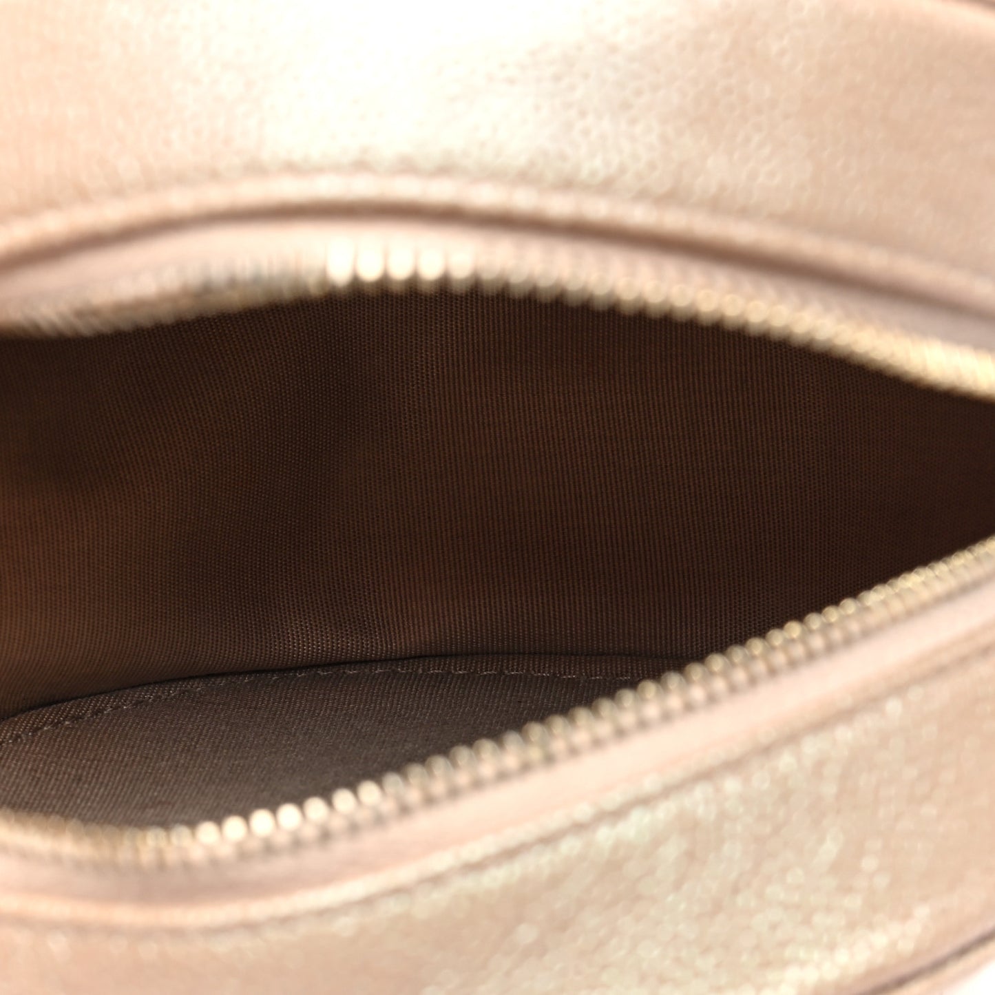 Iridescent Caviar Resin Quilted Round Clutch With Chain Beige