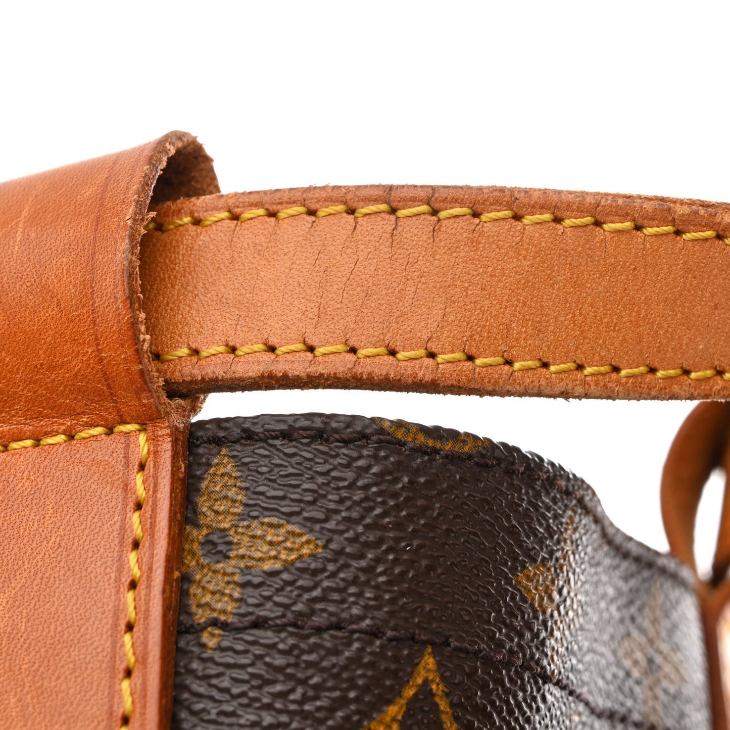 Monogram Randonnee GM Backpack