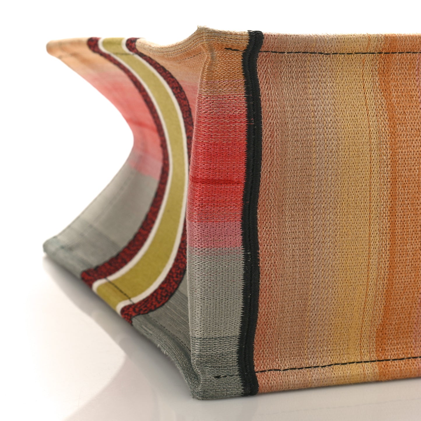 Canvas Embroidered Medium Dioraura Book Tote Multicolor