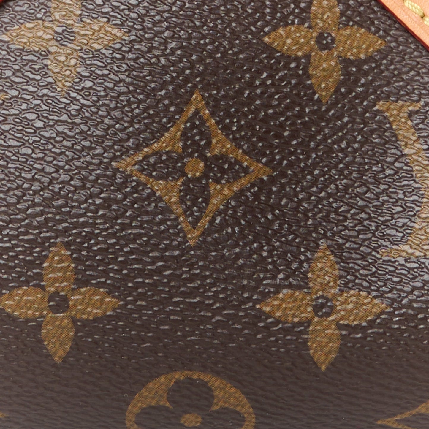 Monogram Nano Speedy
