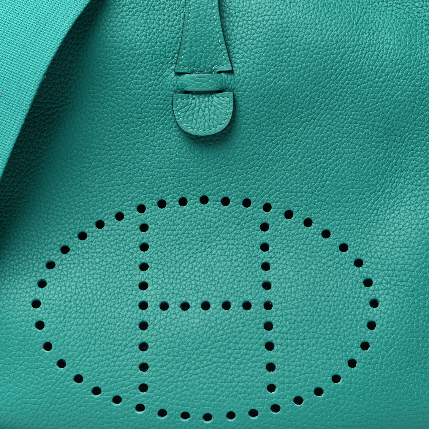 Taurillon Clemence Evelyne III PM Vert Jade
