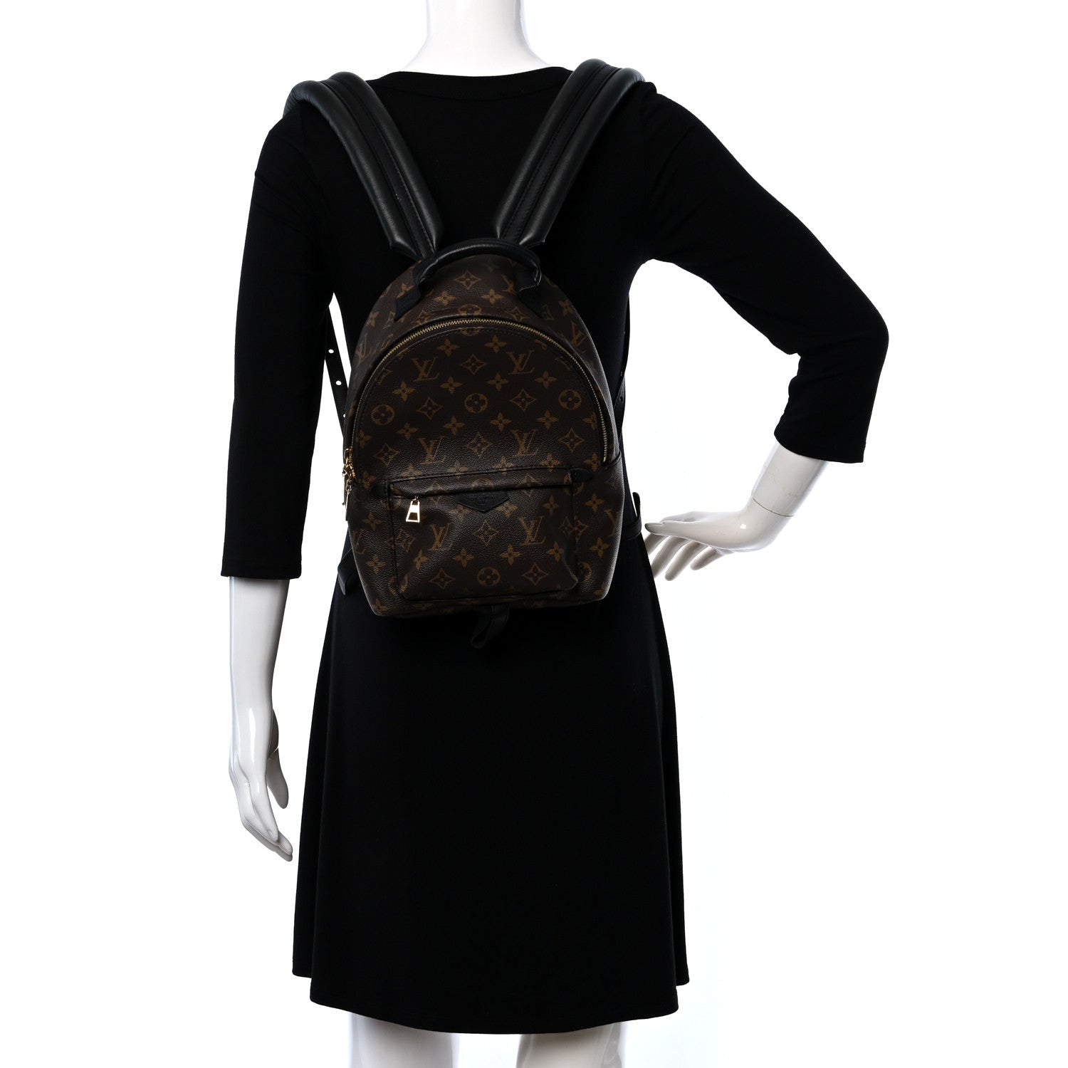 Louis Vuitton Monogram Palm Springs Backpack PM 2 of 10