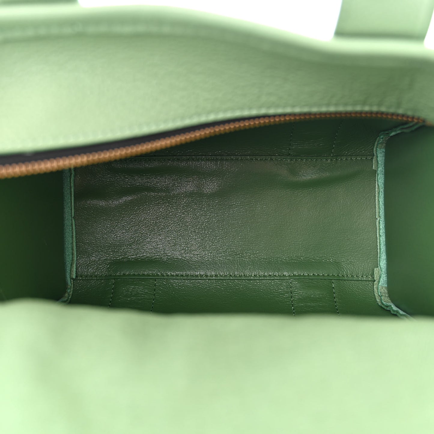 Grained Calfskin Small The Tote Bag Aspen Green