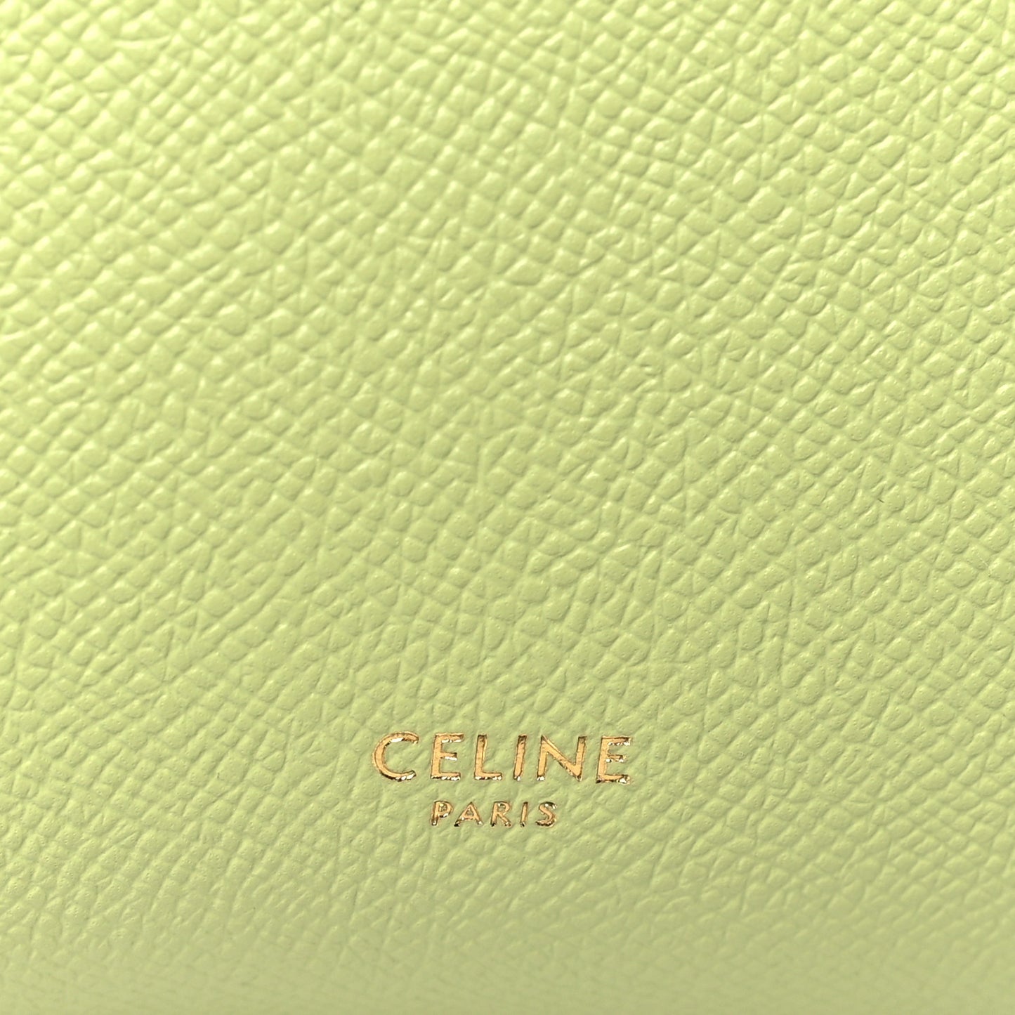 Grained Calfskin Nano Belt Bag Vert D'eau