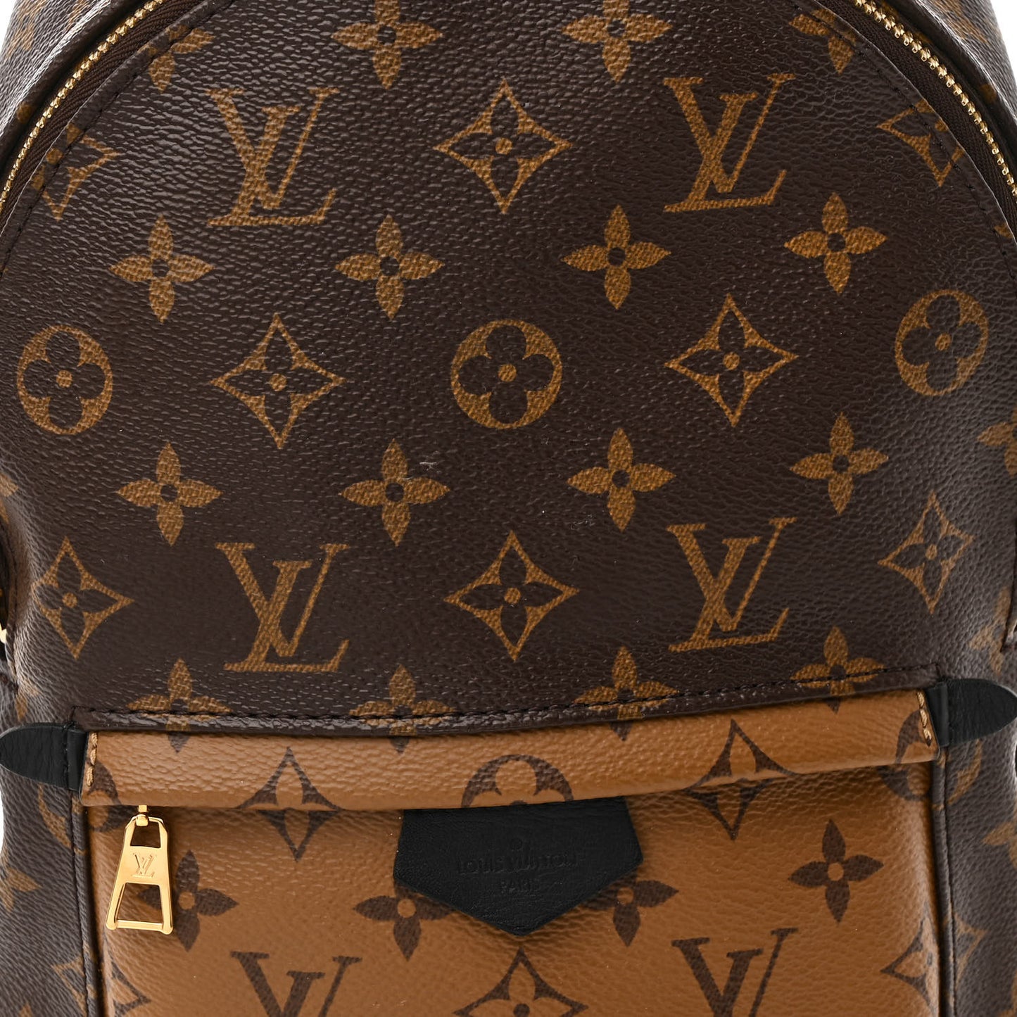 Reverse Monogram Palm Springs Backpack PM