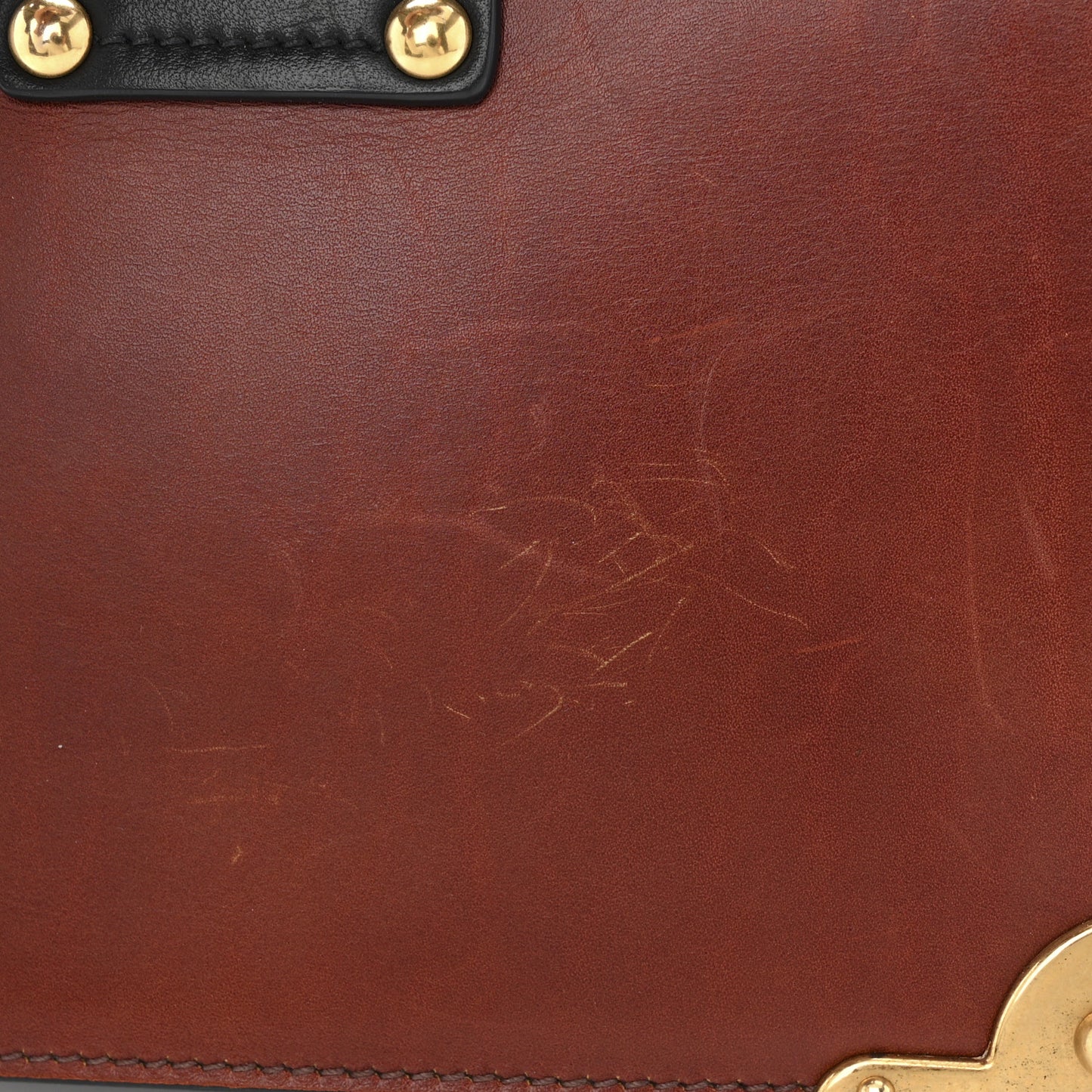 Antic Soft Saffiano Lions Head Cahier Shoulder Bag Cotto Black
