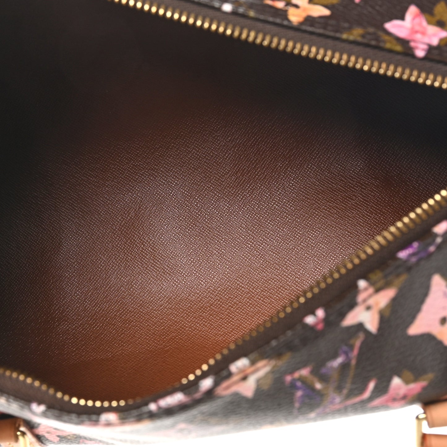 Watercolor Aquarelle Papillon