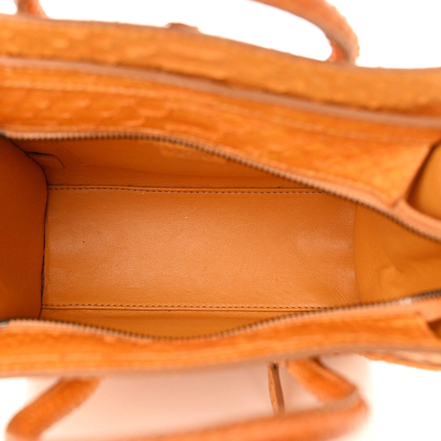 Snakeskin Calfskin Nano Luggage Yellow