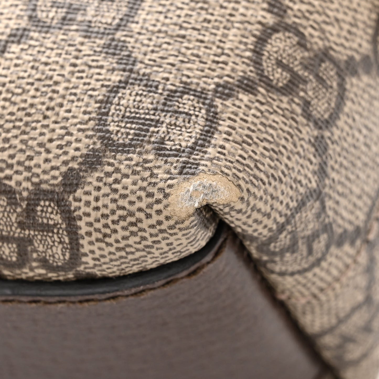 GG Supreme Monogram Textured Dollar Calfskin Web Small Ophidia Dome Shoulder Bag Beige Ebony New Acero