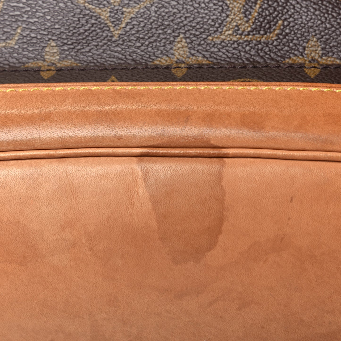 Monogram Montsouris GM Backpack
