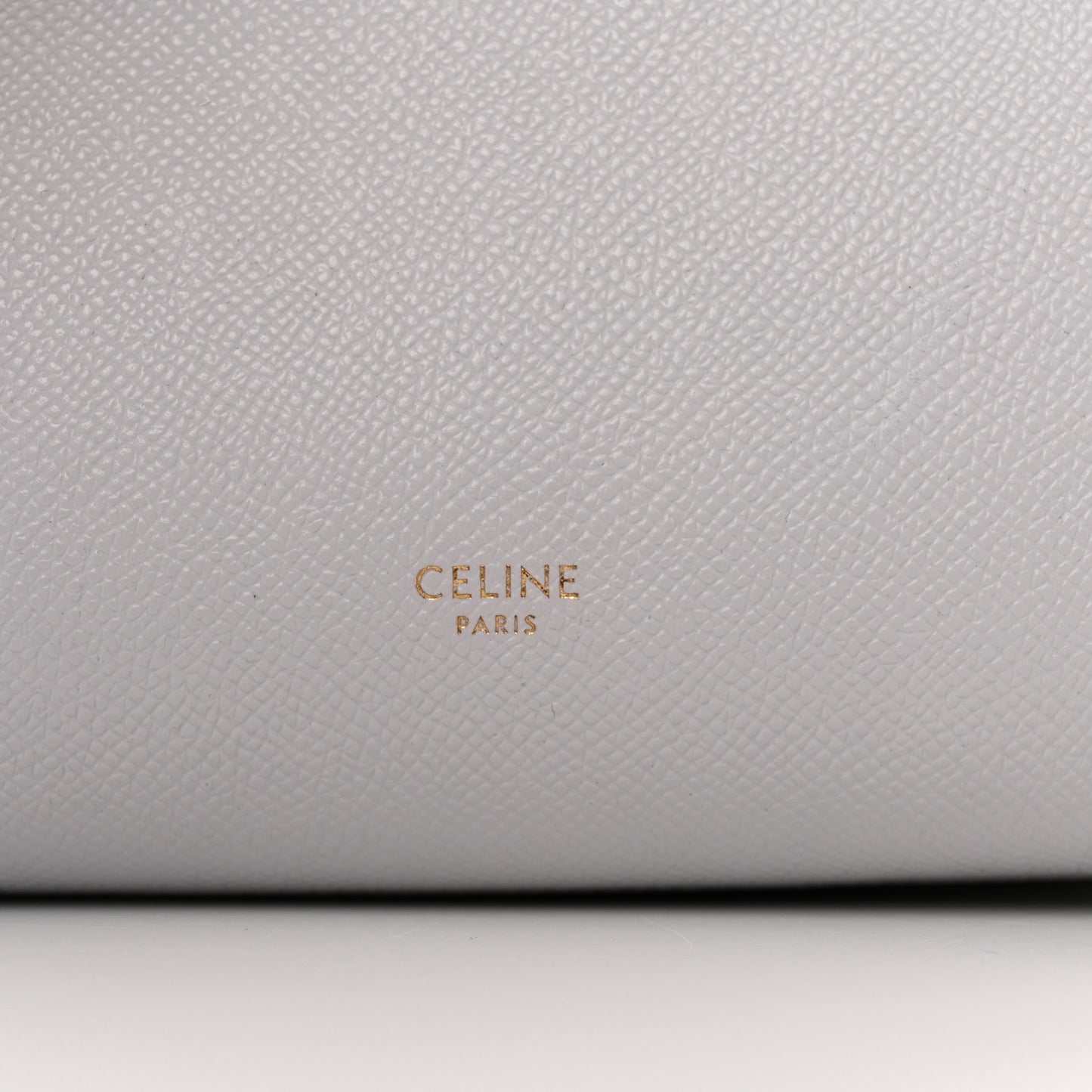 Grained Calfskin Nano Belt Bag Mineral