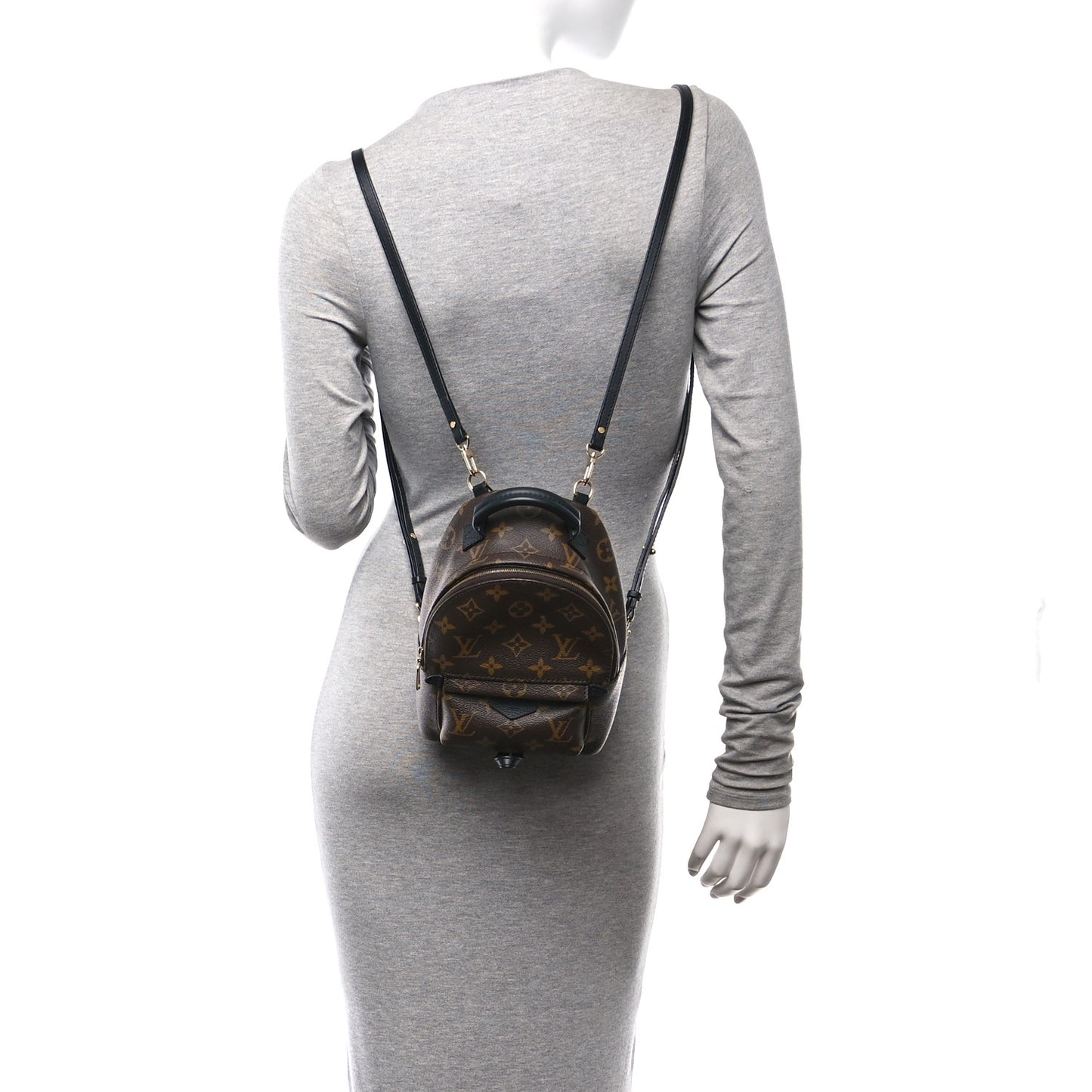 Monogram Palm Springs Backpack Mini