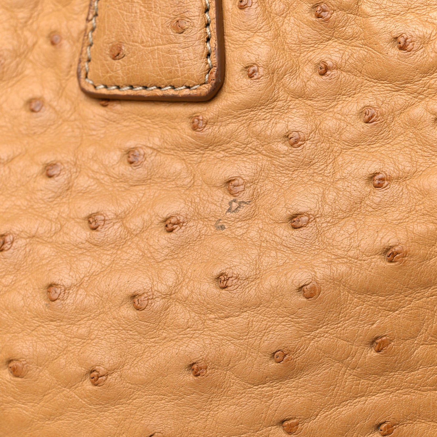 Ostrich Executive Tote Cognac