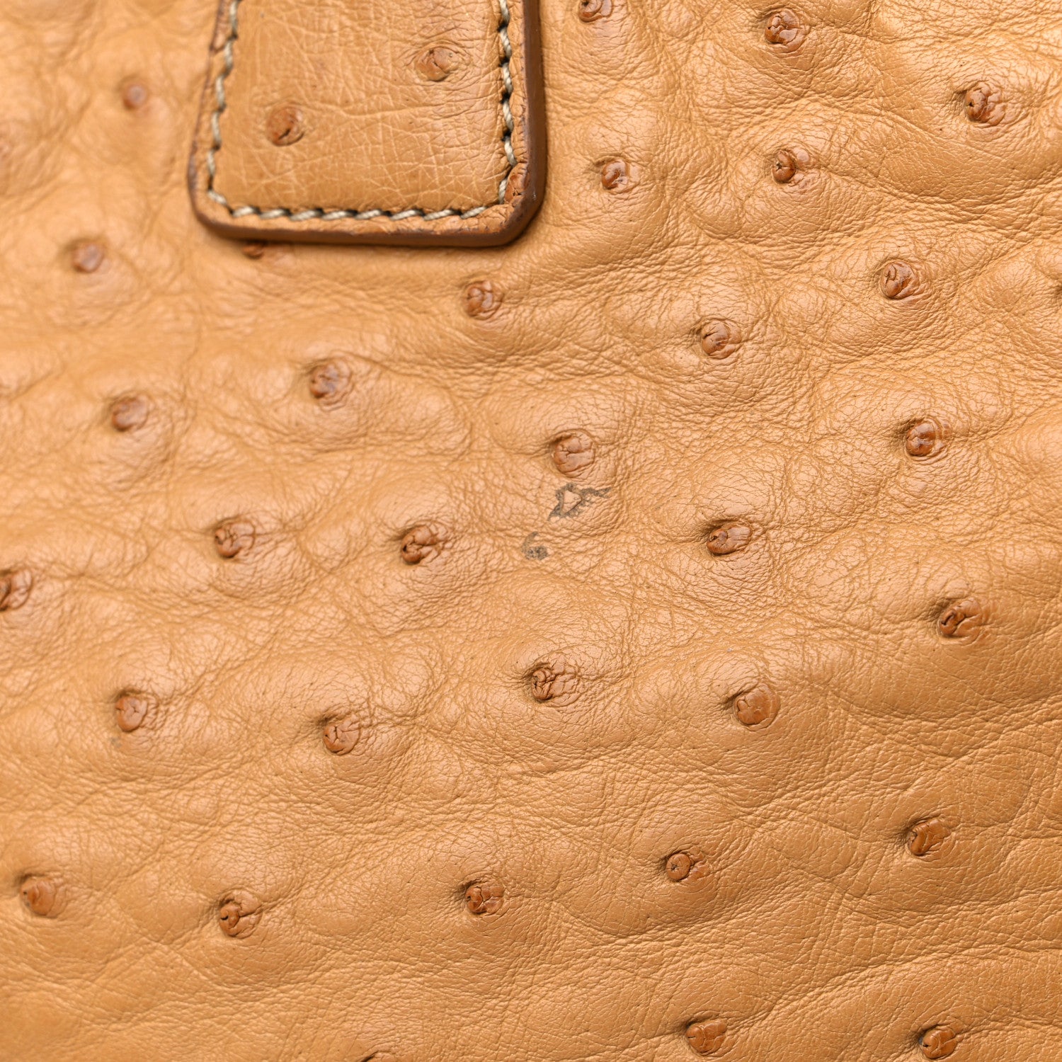 Prada Ostrich Executive Tote Cognac 12 of 13