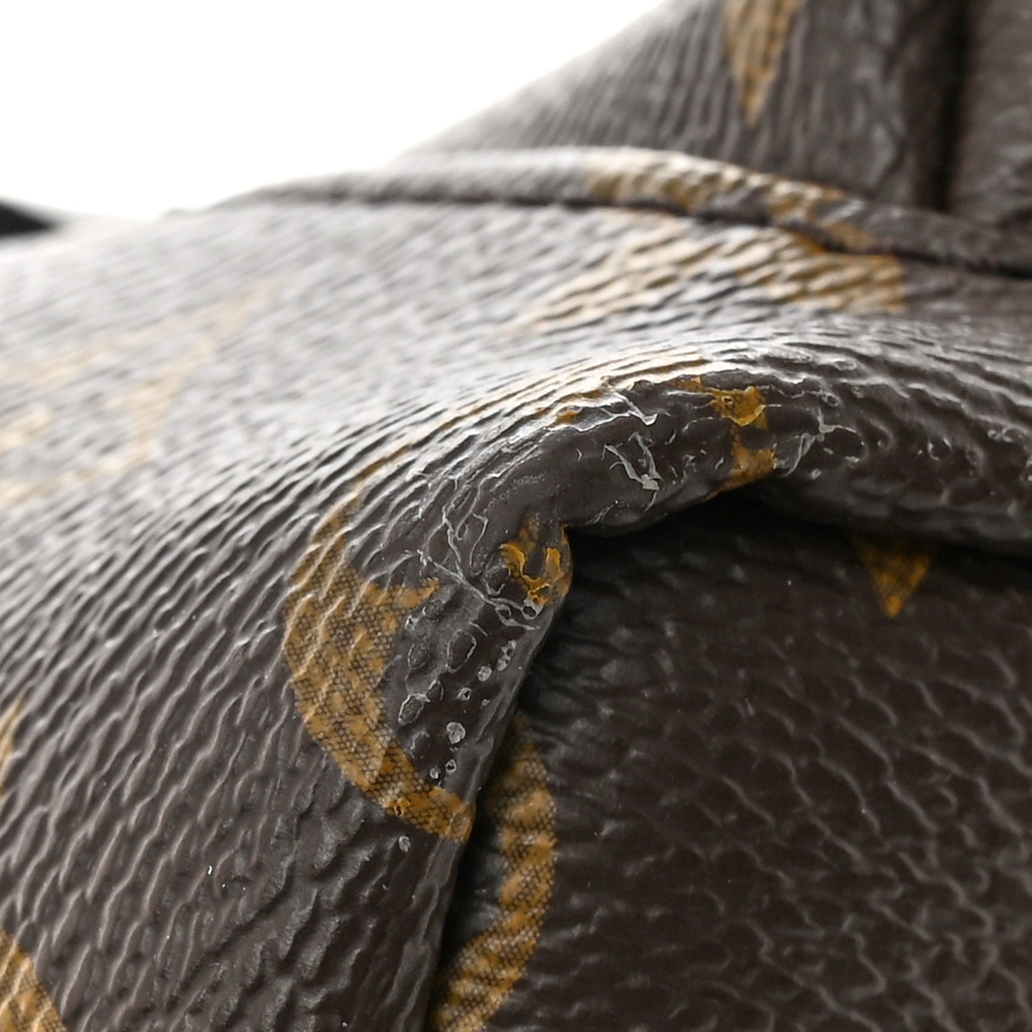 Monogram Palm Springs Backpack Mini
