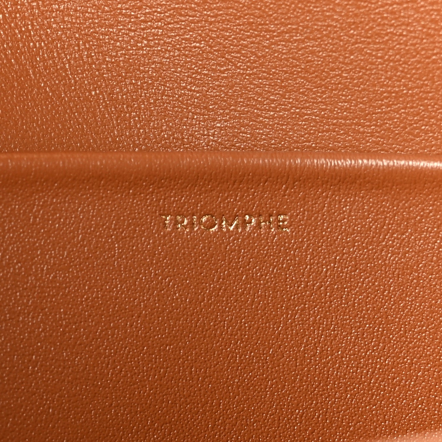 Celine Canvas Calfskin Triomphe Shoulder Bag Tan 7 of 9