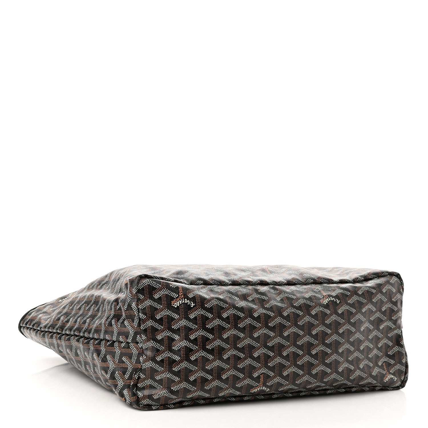 Goyard Goyardine Saint Louis PM Black 4 of 10