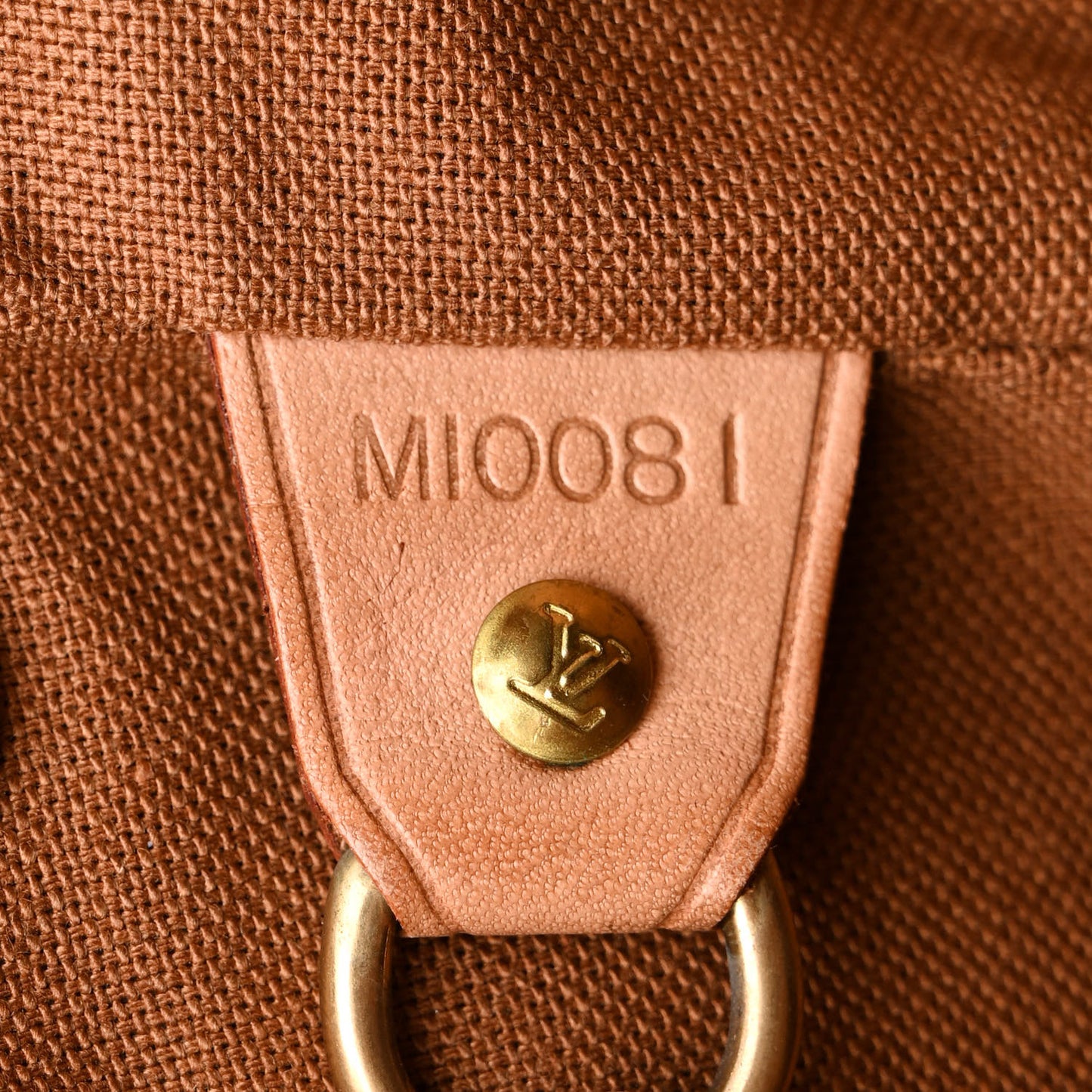 Monogram Montsouris GM Backpack