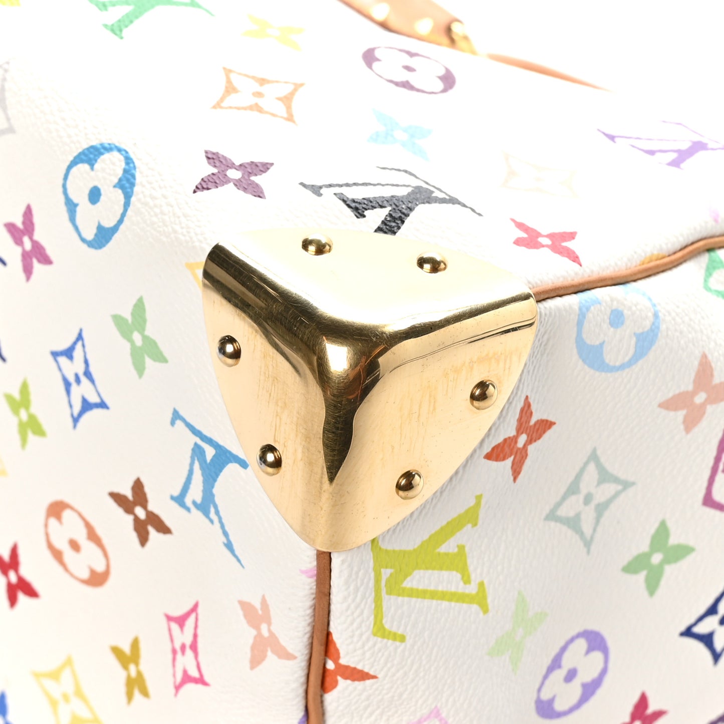 Monogram Multicolor Speedy 30 White